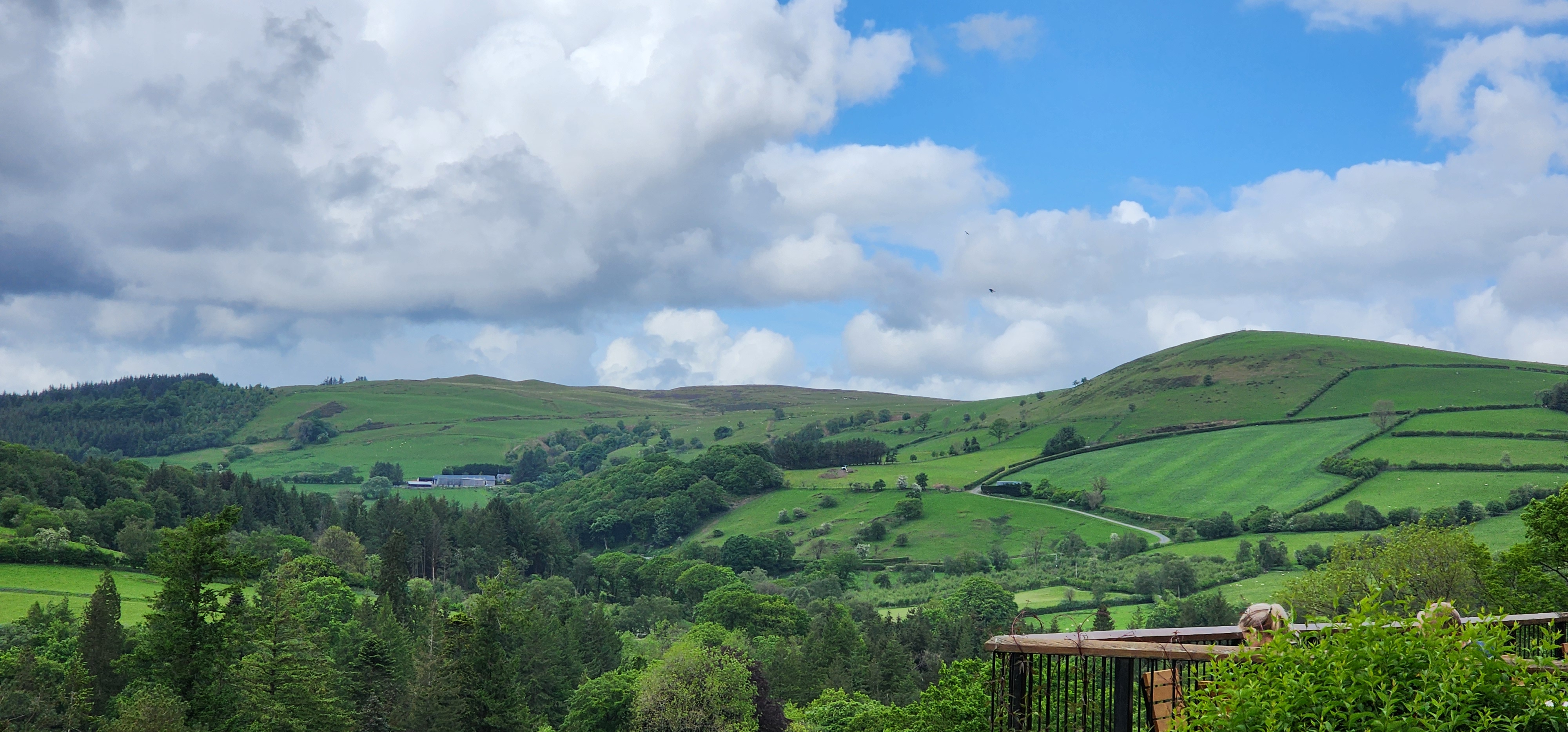 Lake Vyrnwy 330