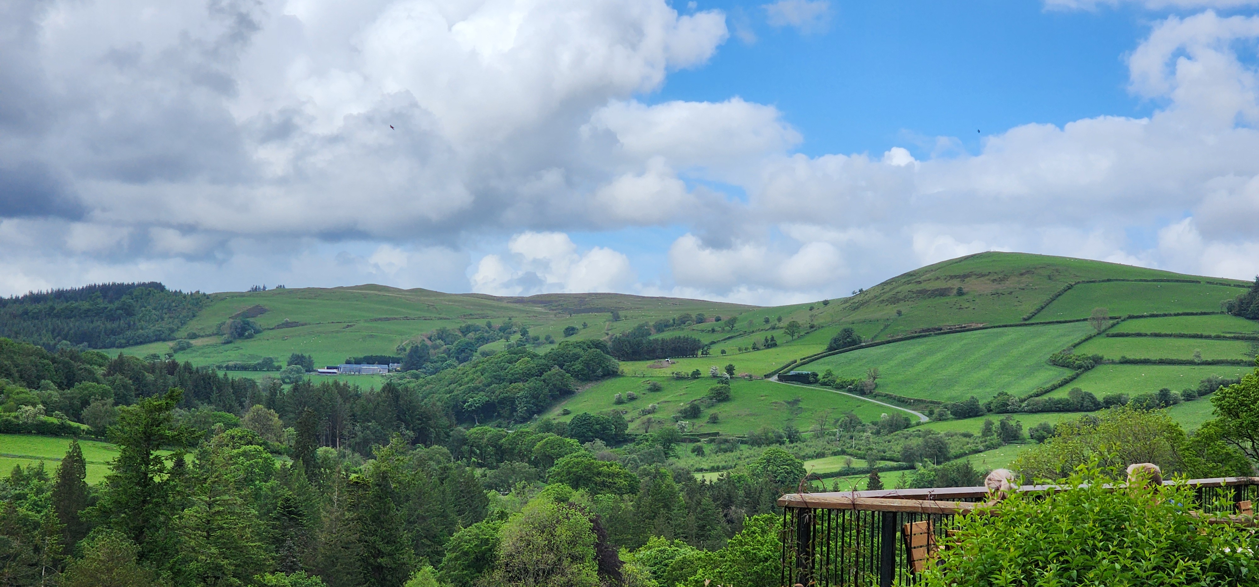 Lake Vyrnwy 333