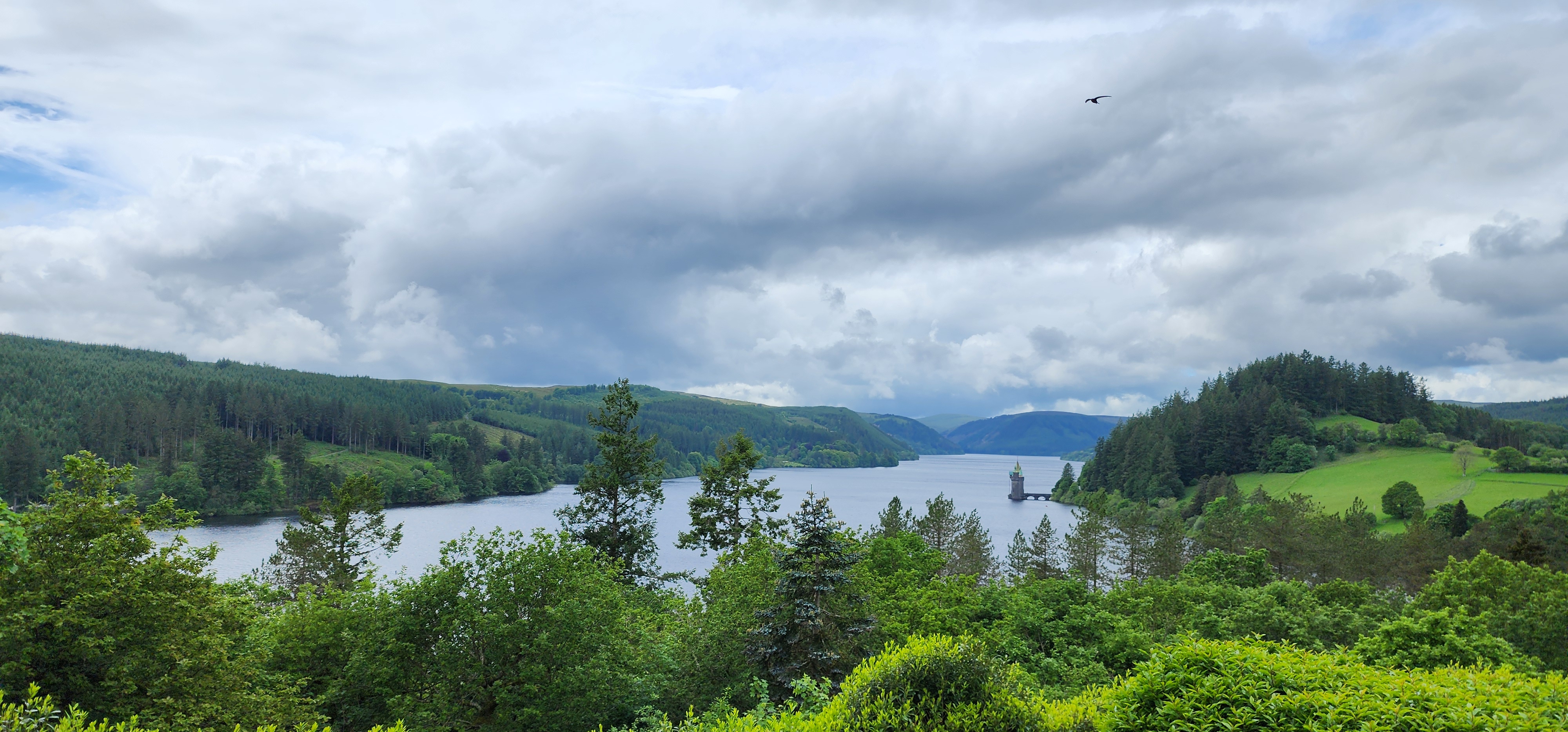 Lake Vyrnwy 337