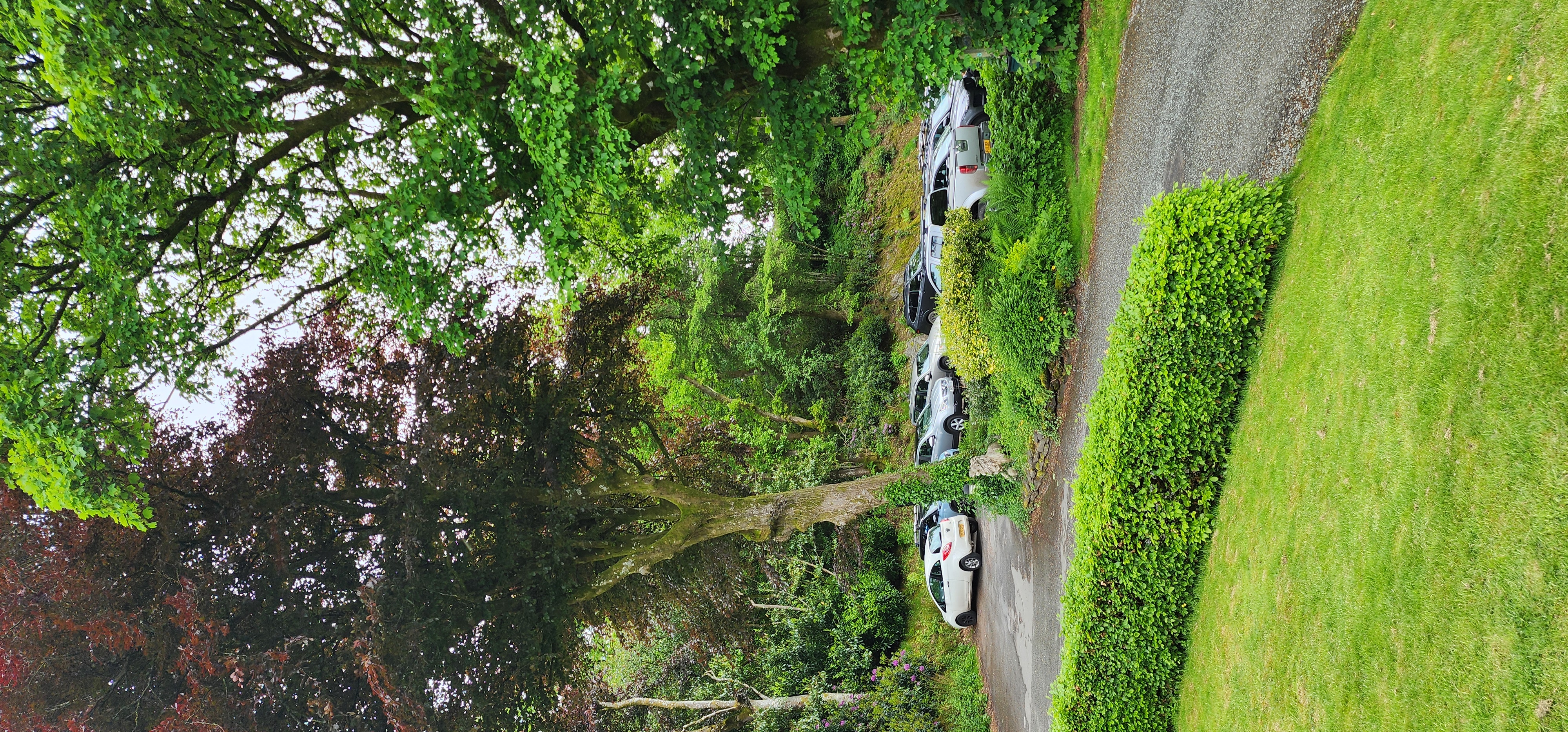Lake Vyrnwy 338