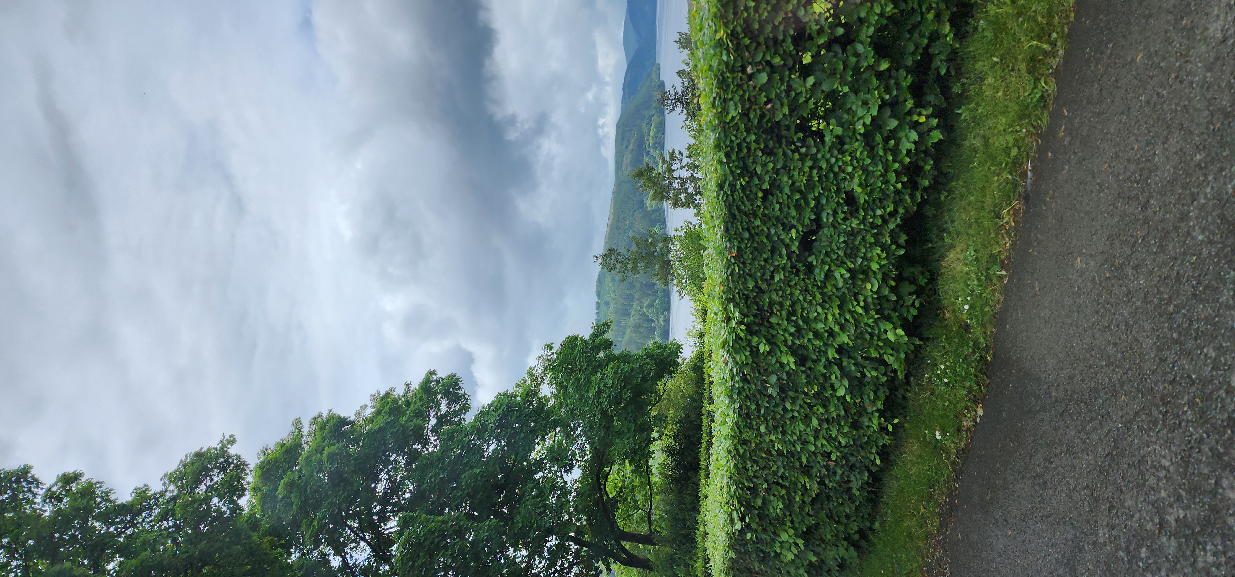 Lake Vyrnwy 351