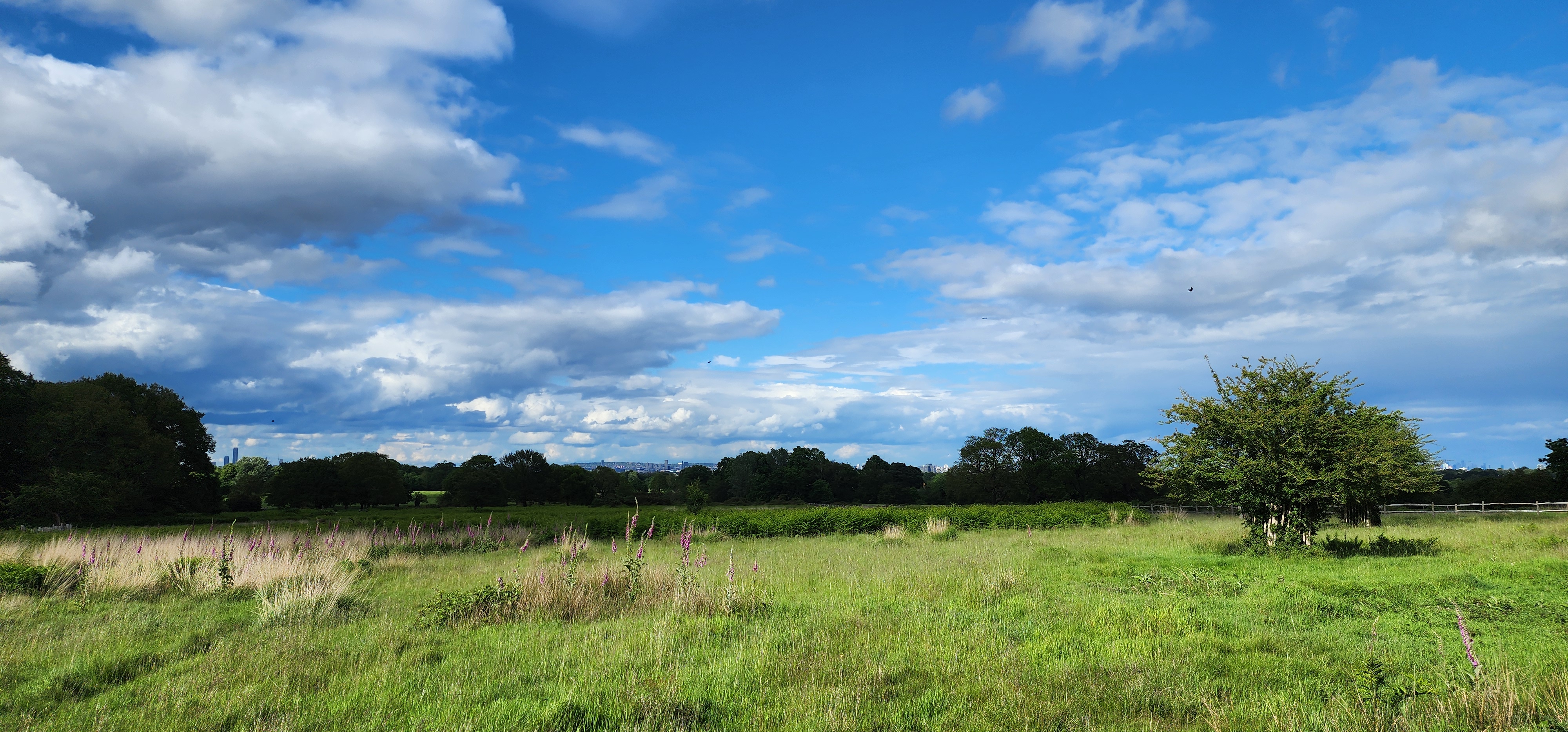 Richmond Park 10