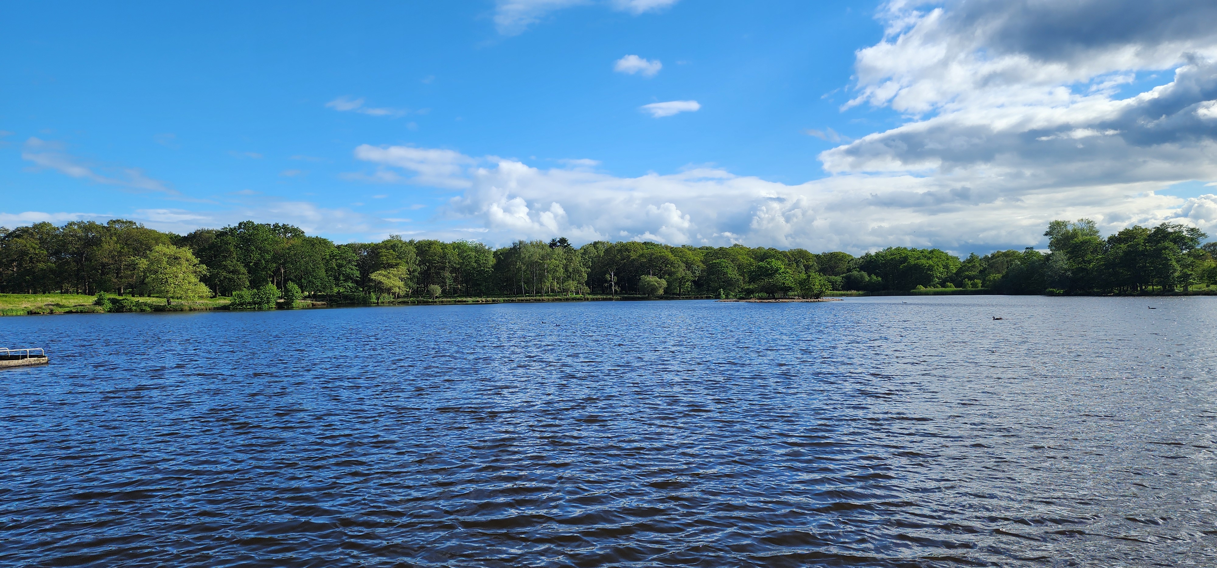 Richmond Park 12