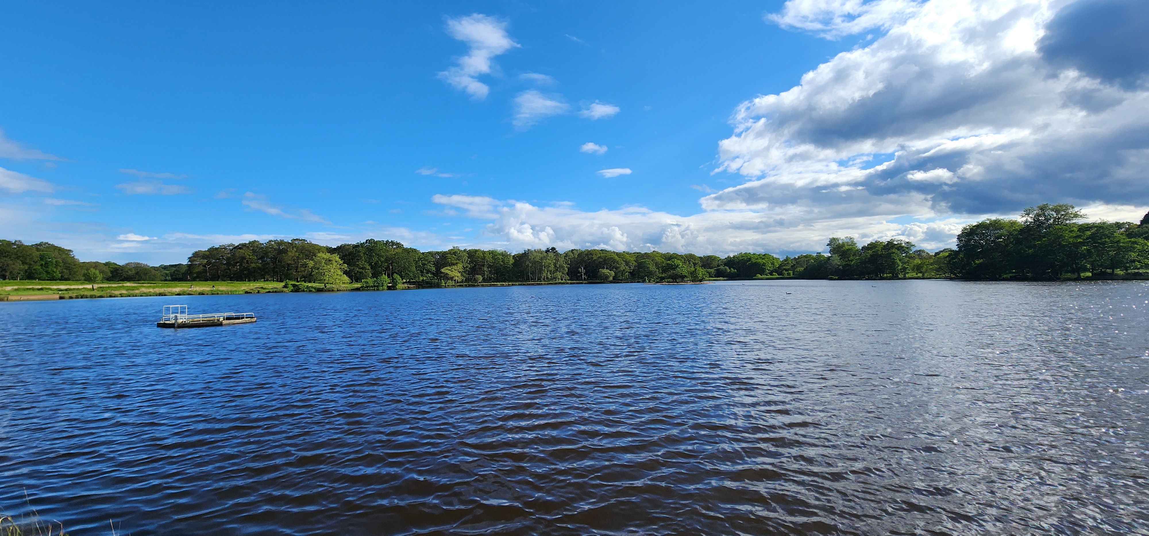 Richmond Park 13