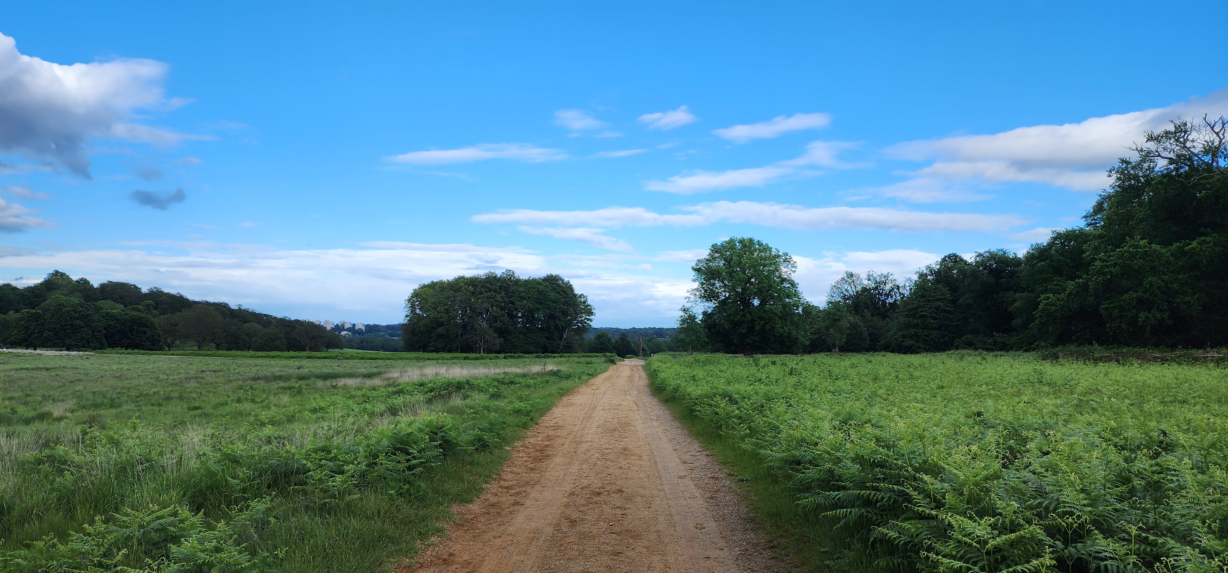 Richmond Park 17