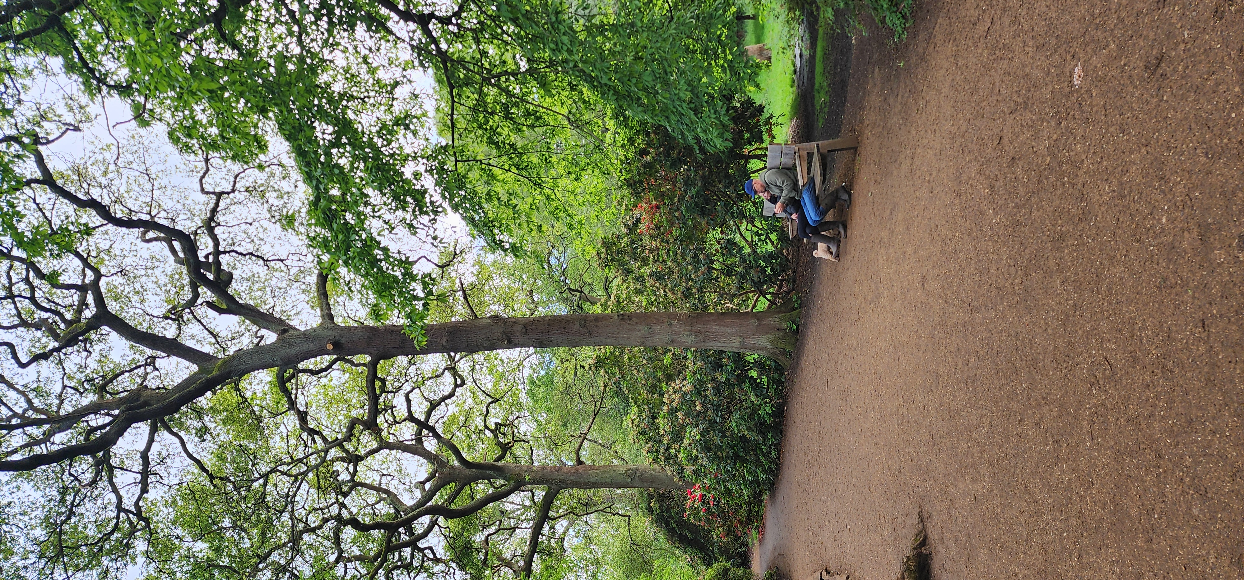 Richmond Park 39