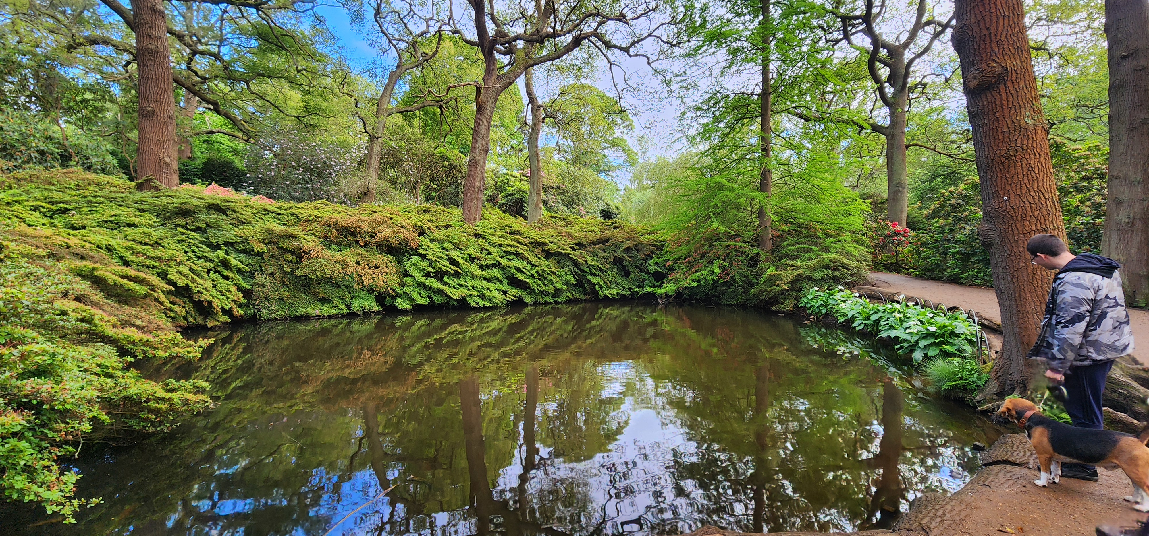 Richmond Park 43