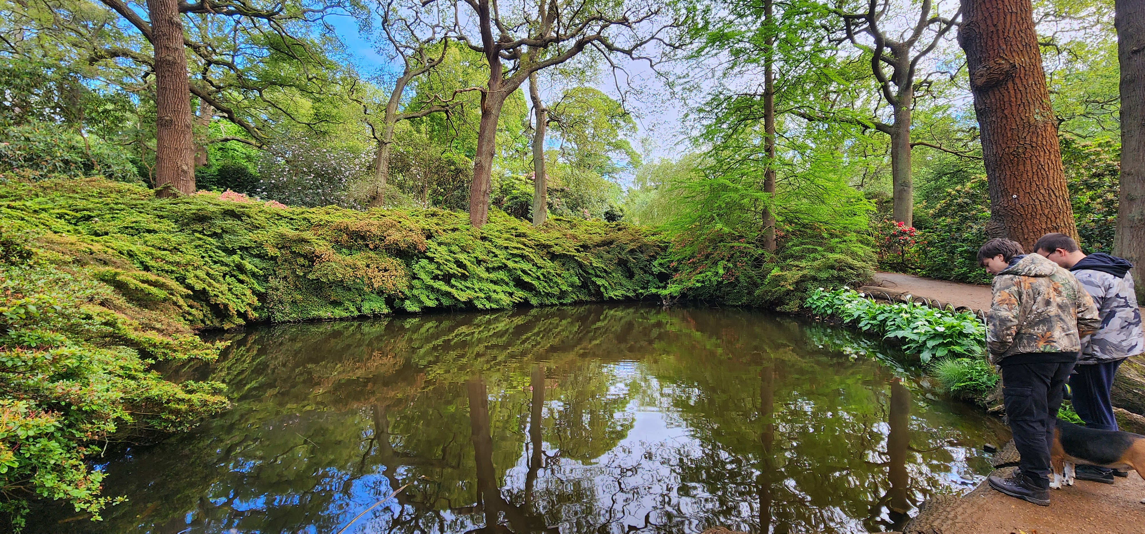 Richmond Park 44