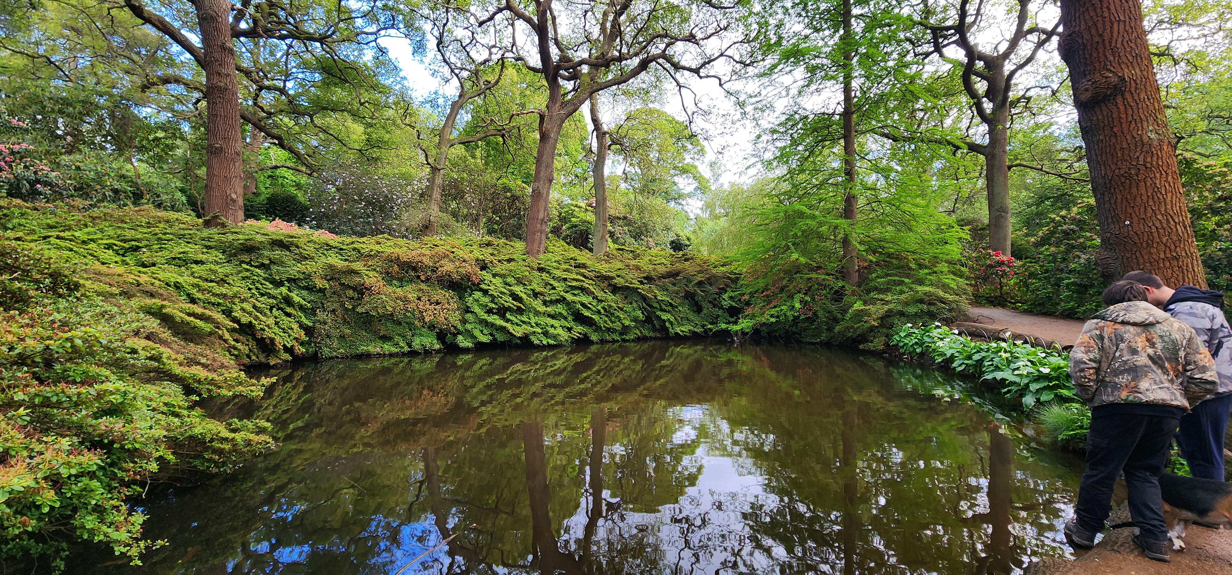 Richmond Park 45
