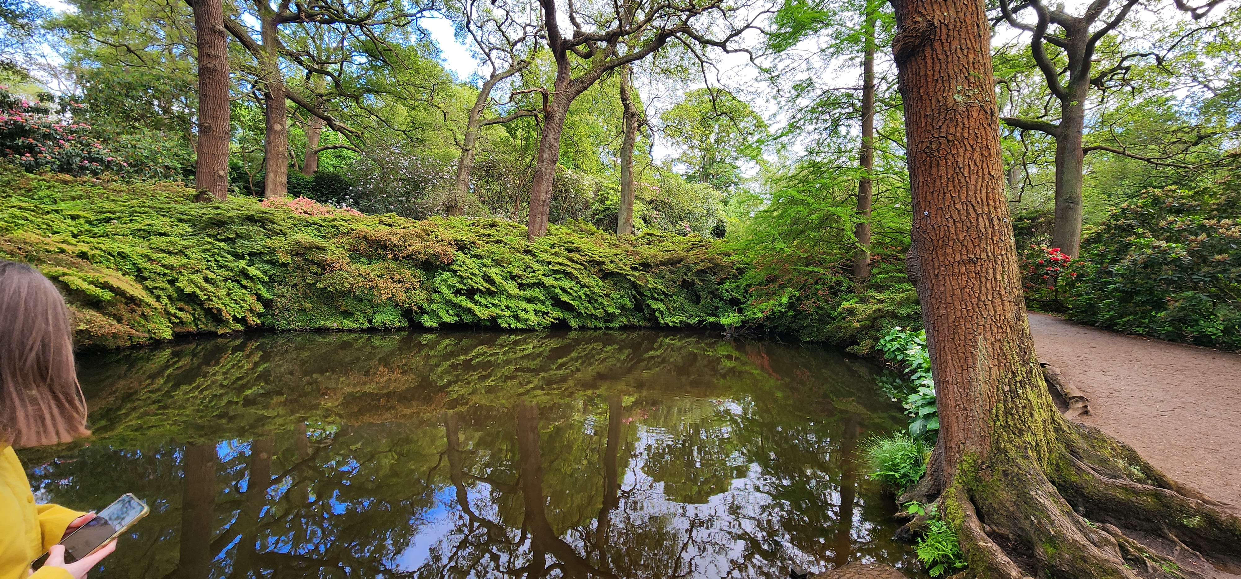 Richmond Park 46