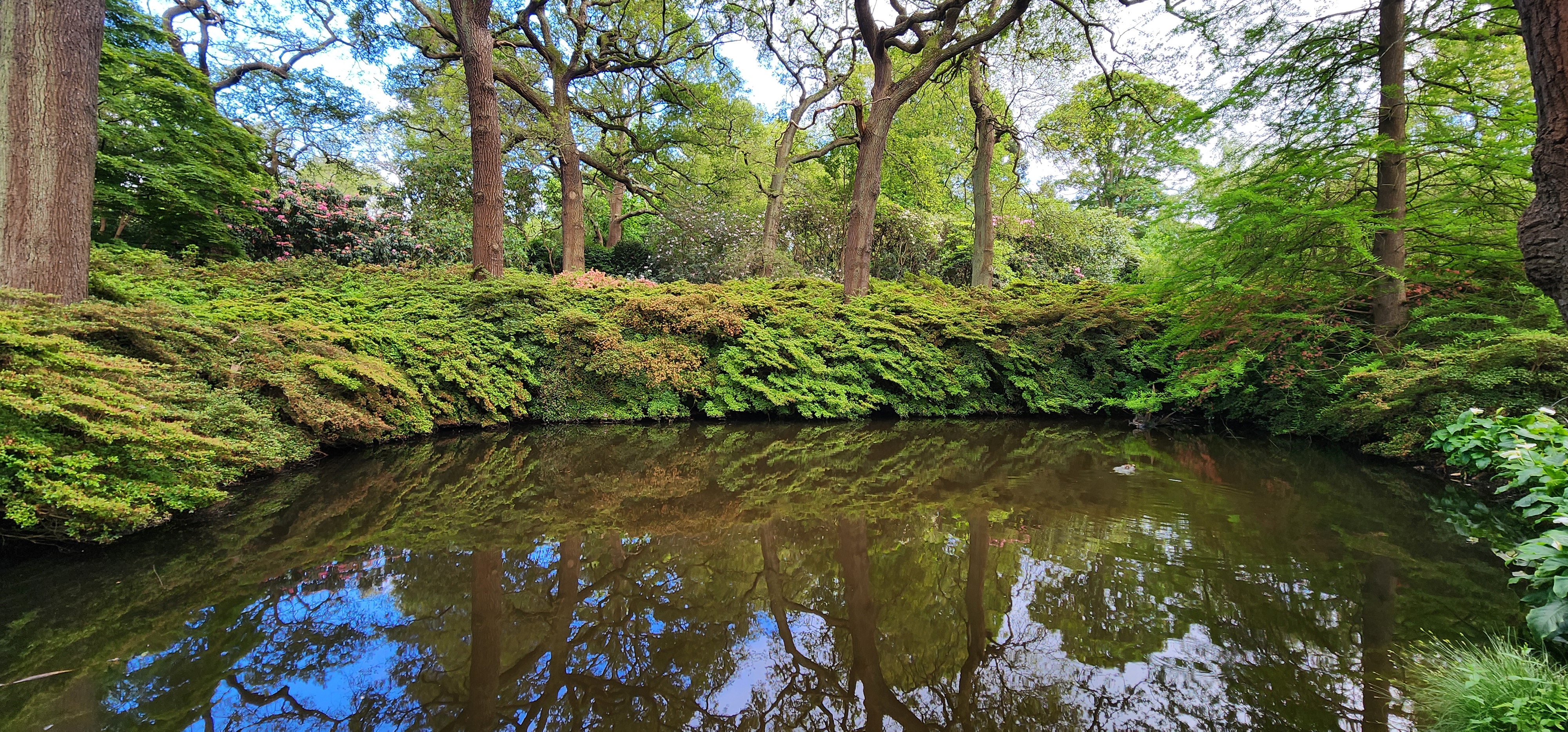 Richmond Park 47