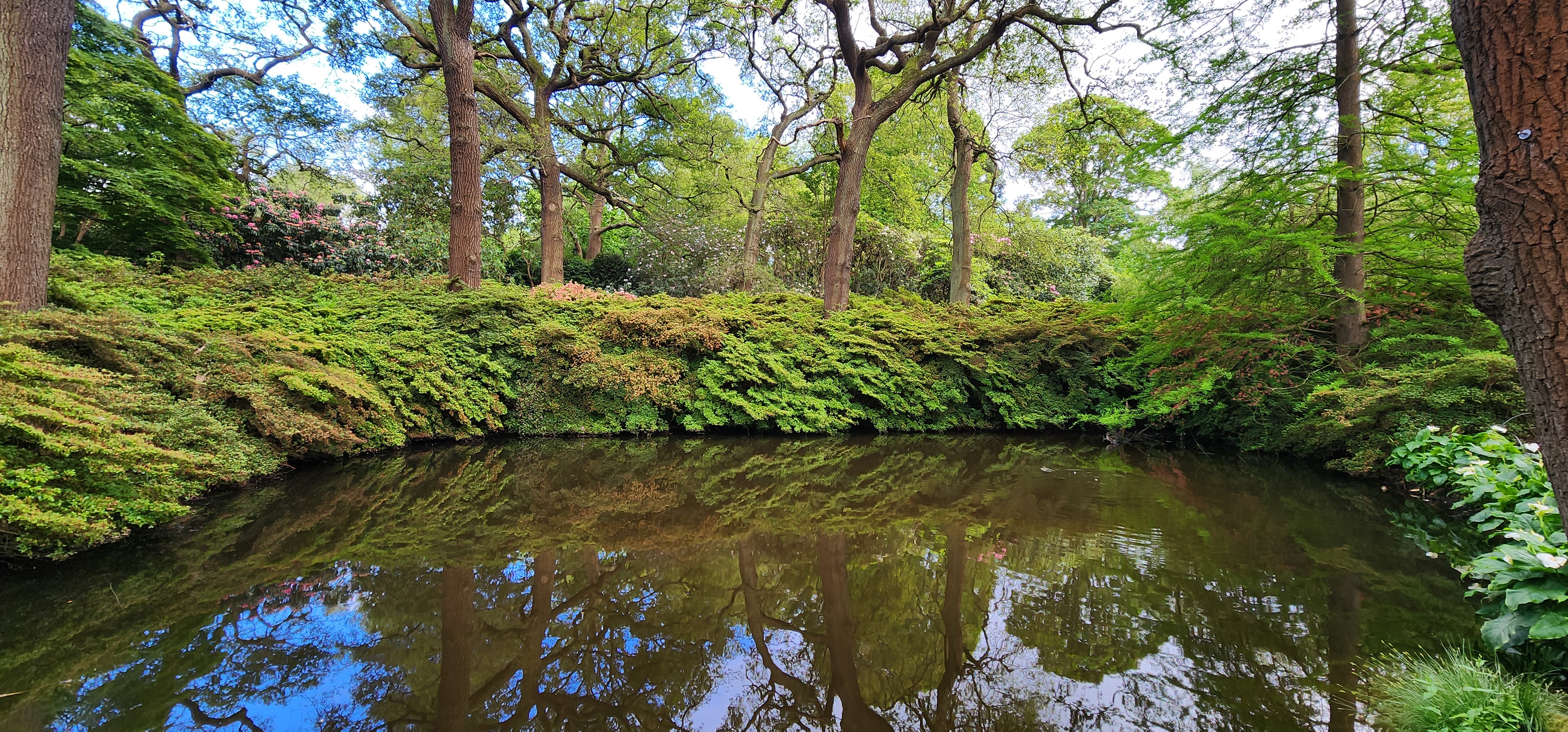 Richmond Park 48