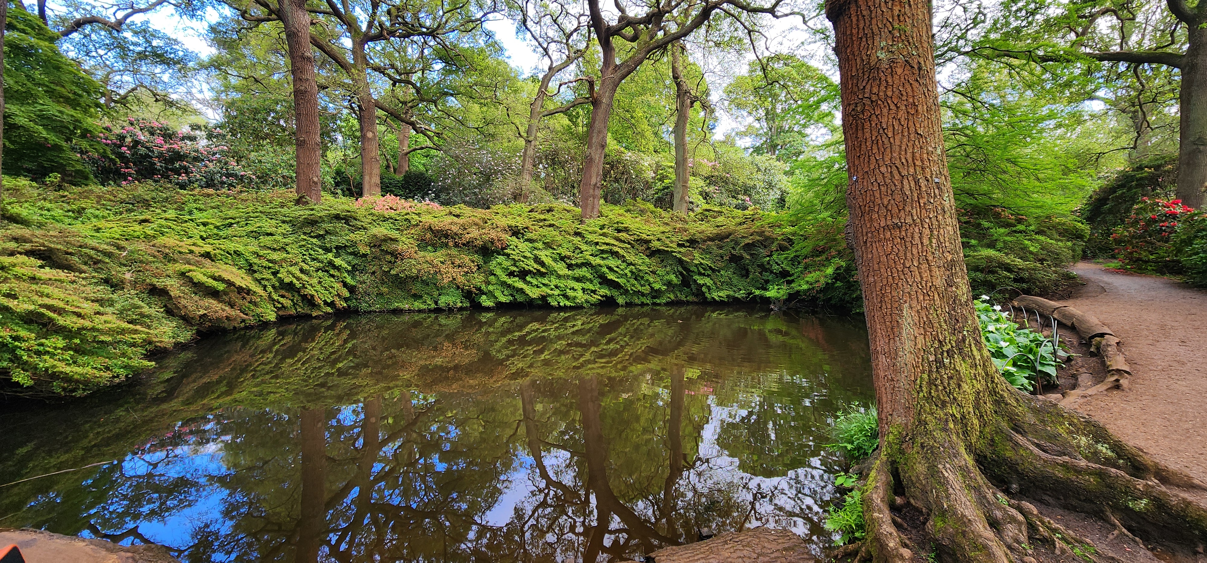 Richmond Park 49