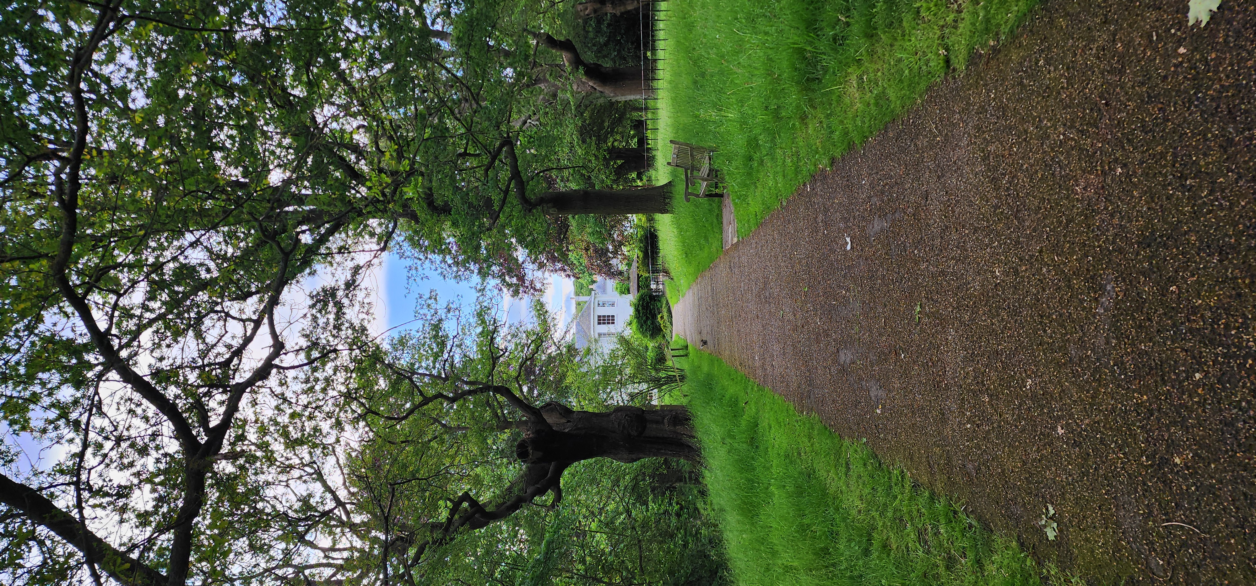 Richmond Park 123