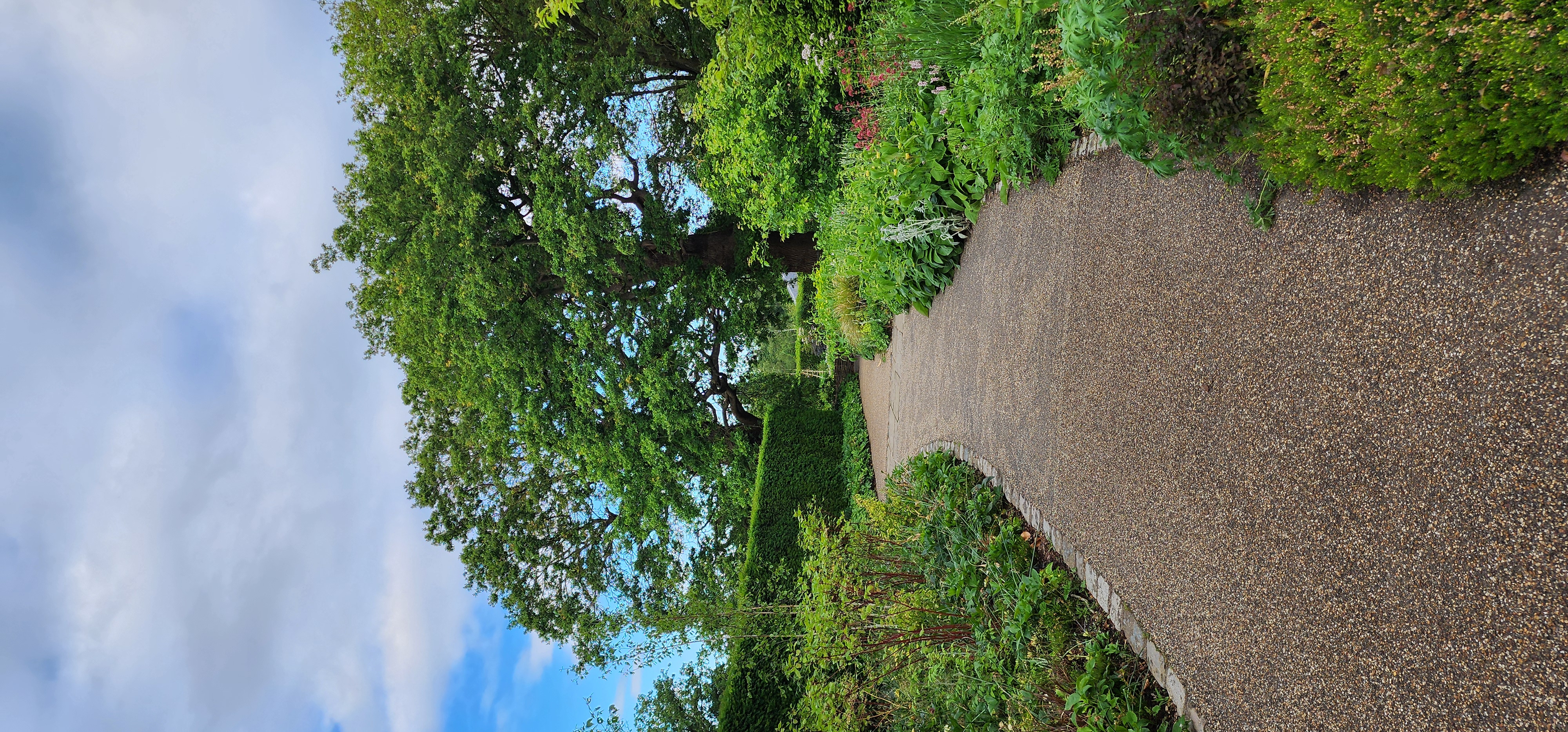 Richmond Park 125