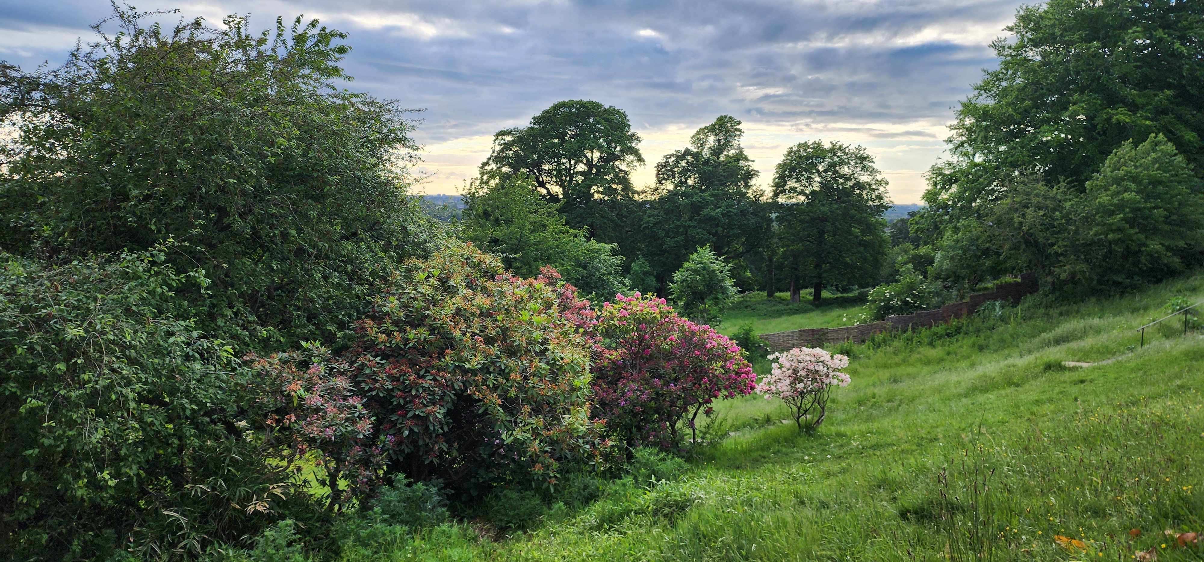Richmond Park 126