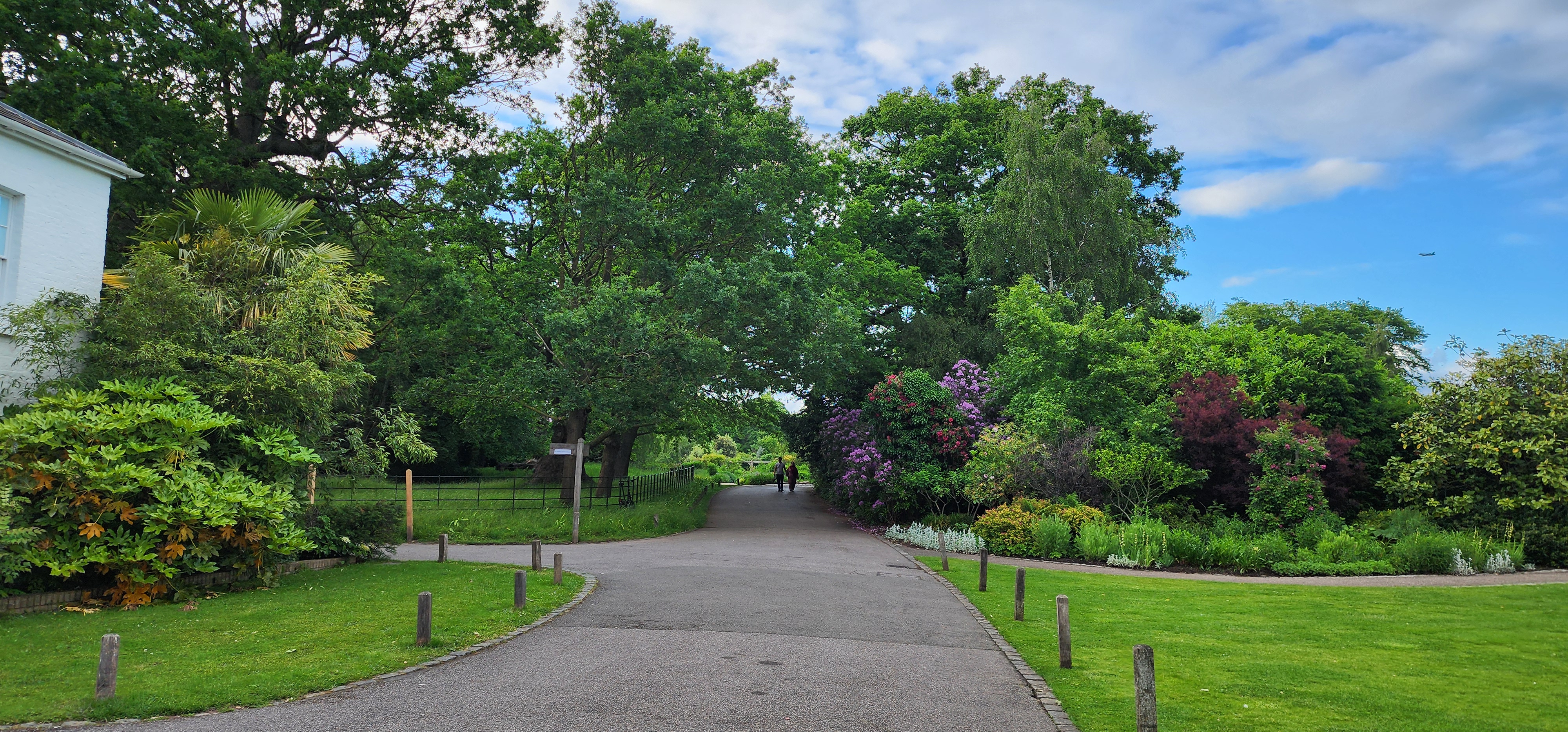 Richmond Park 137