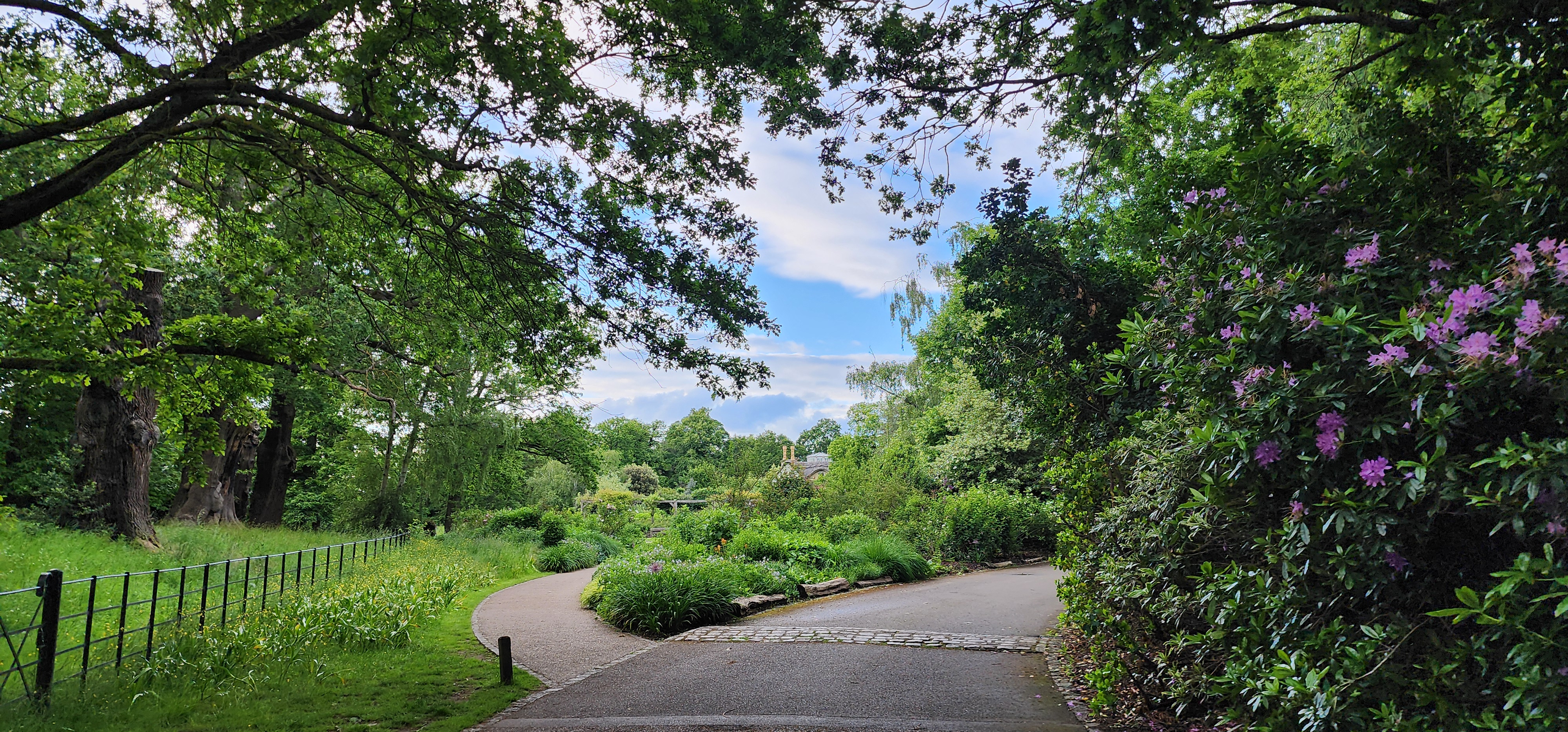 Richmond Park 140
