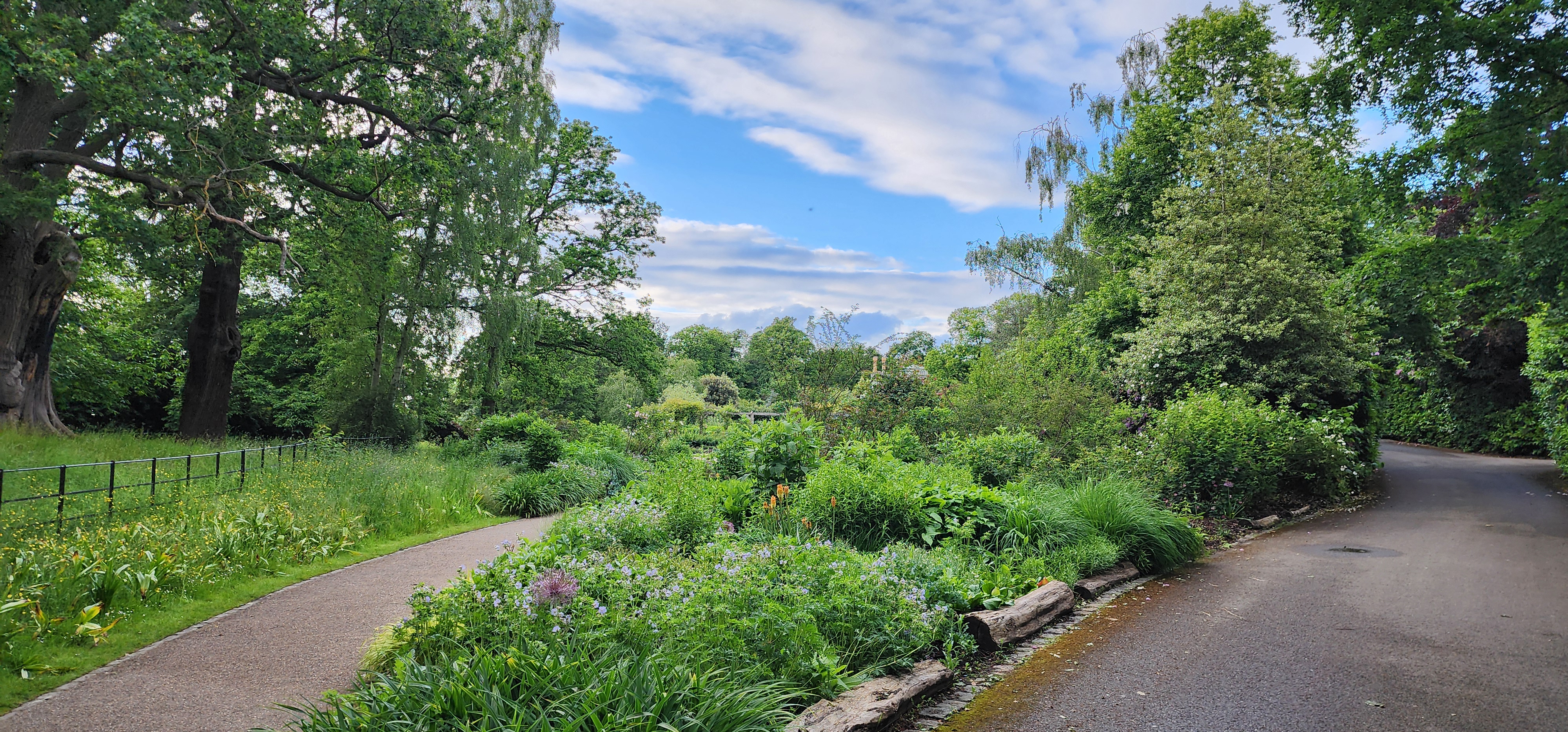 Richmond Park 141