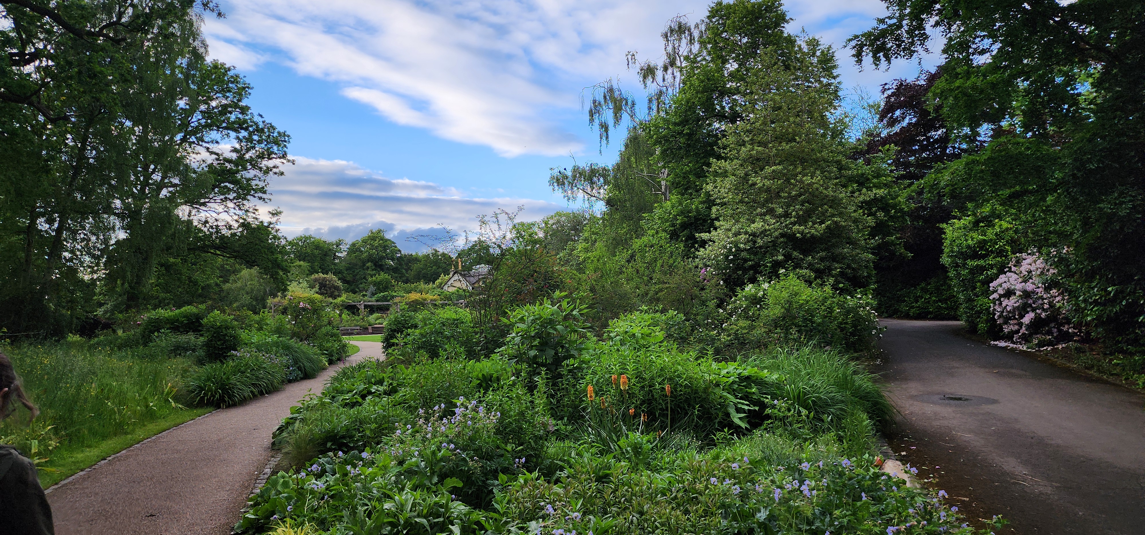 Richmond Park 142