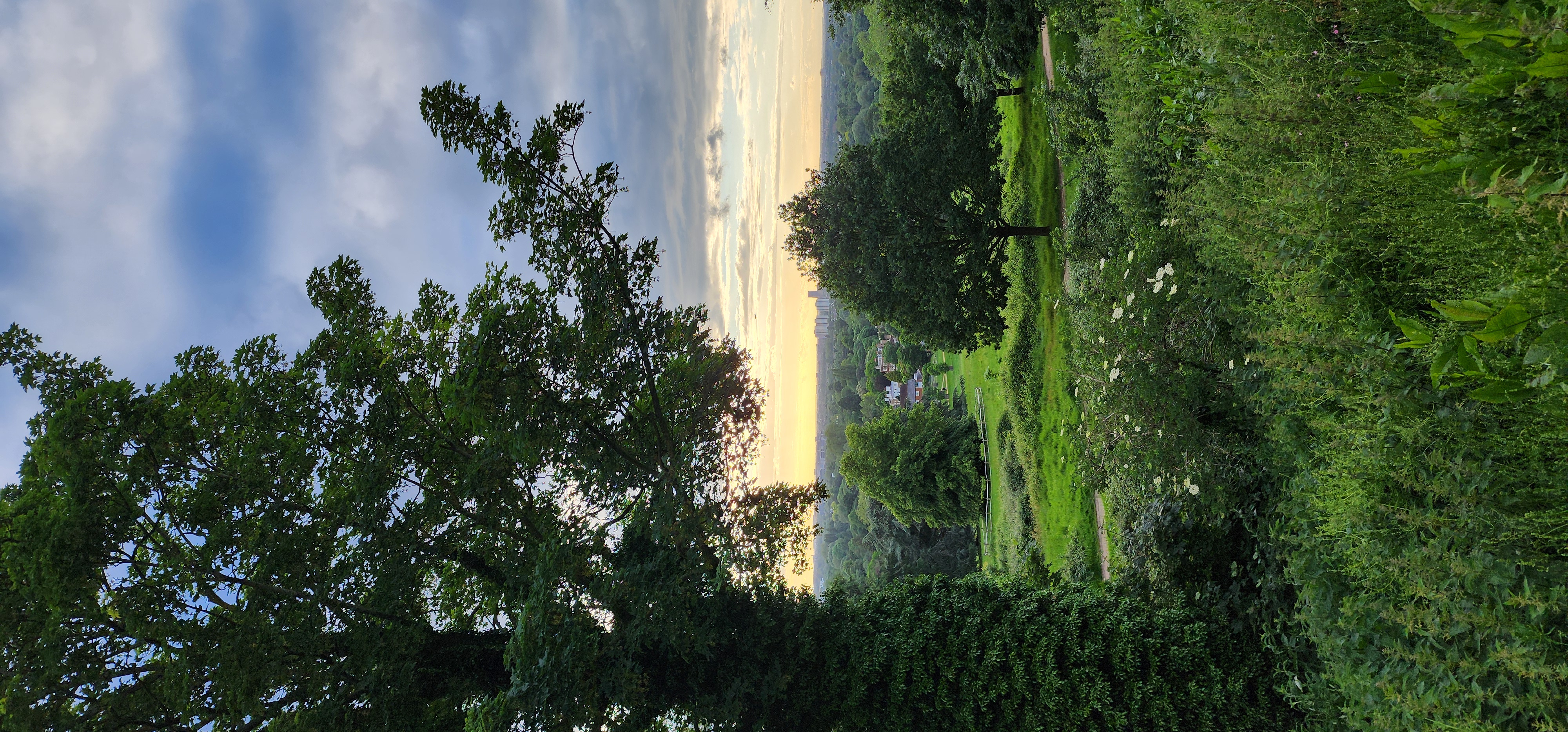 Richmond Park 153