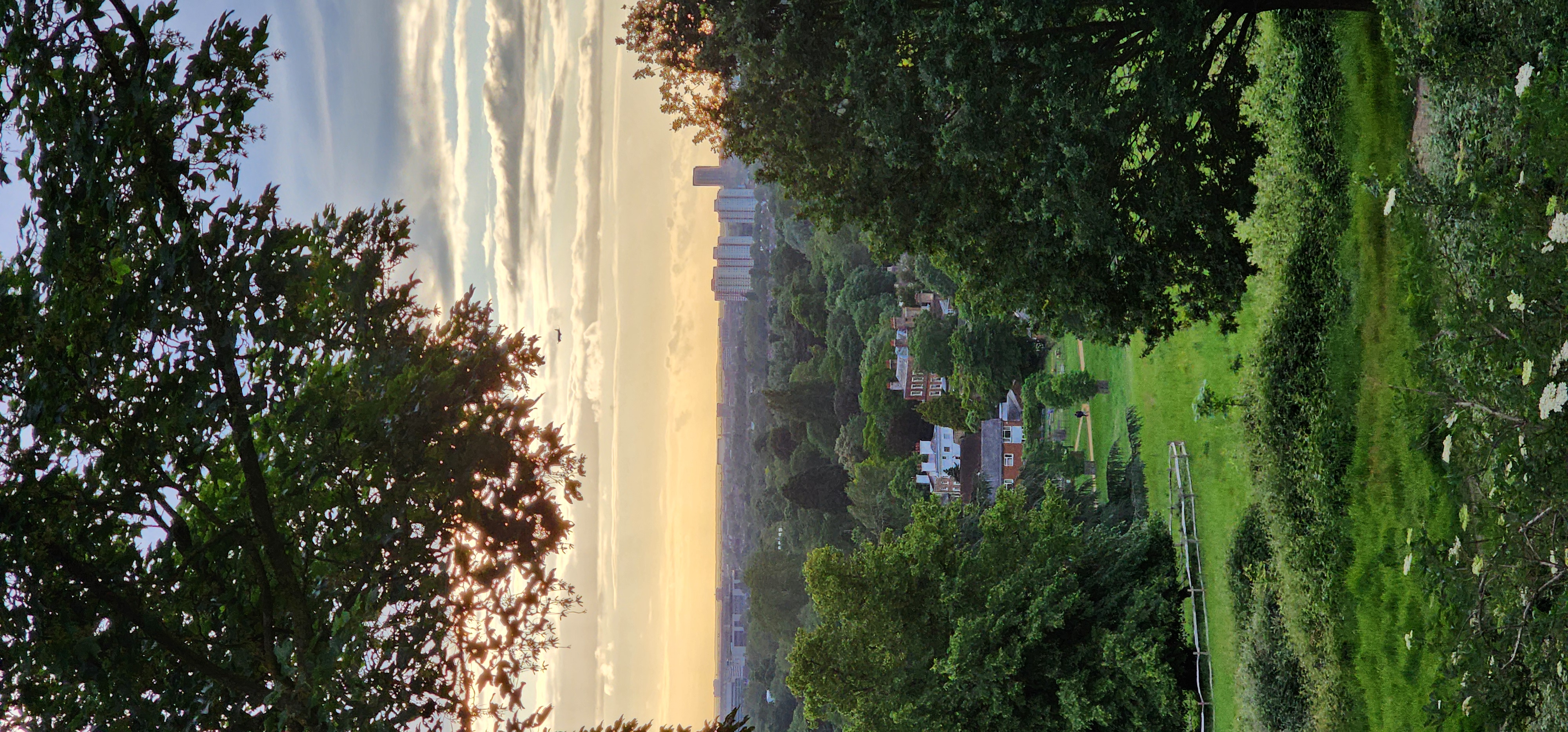 Richmond Park 154