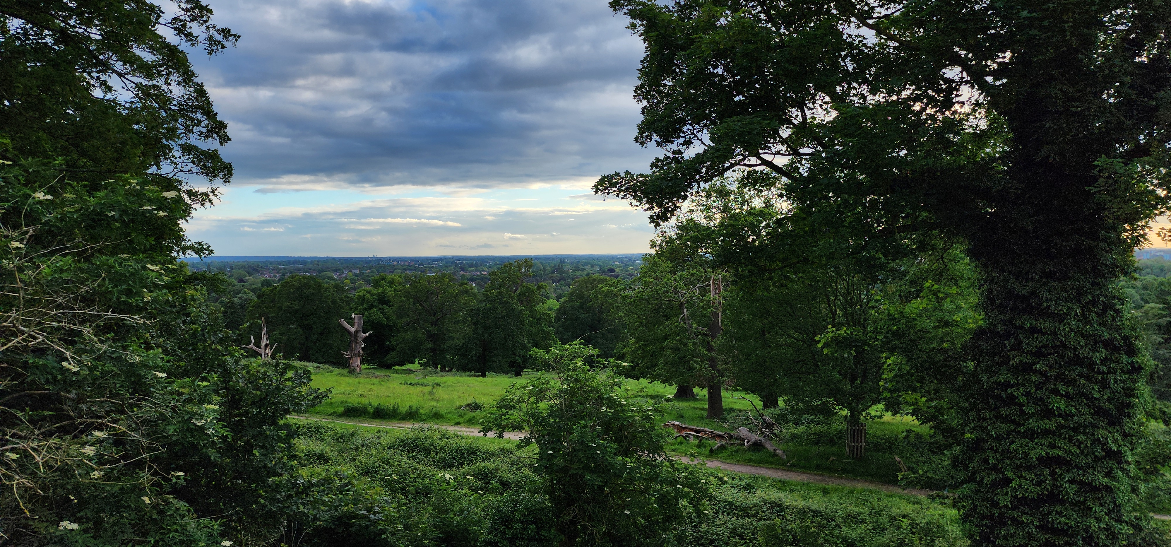 Richmond Park 155