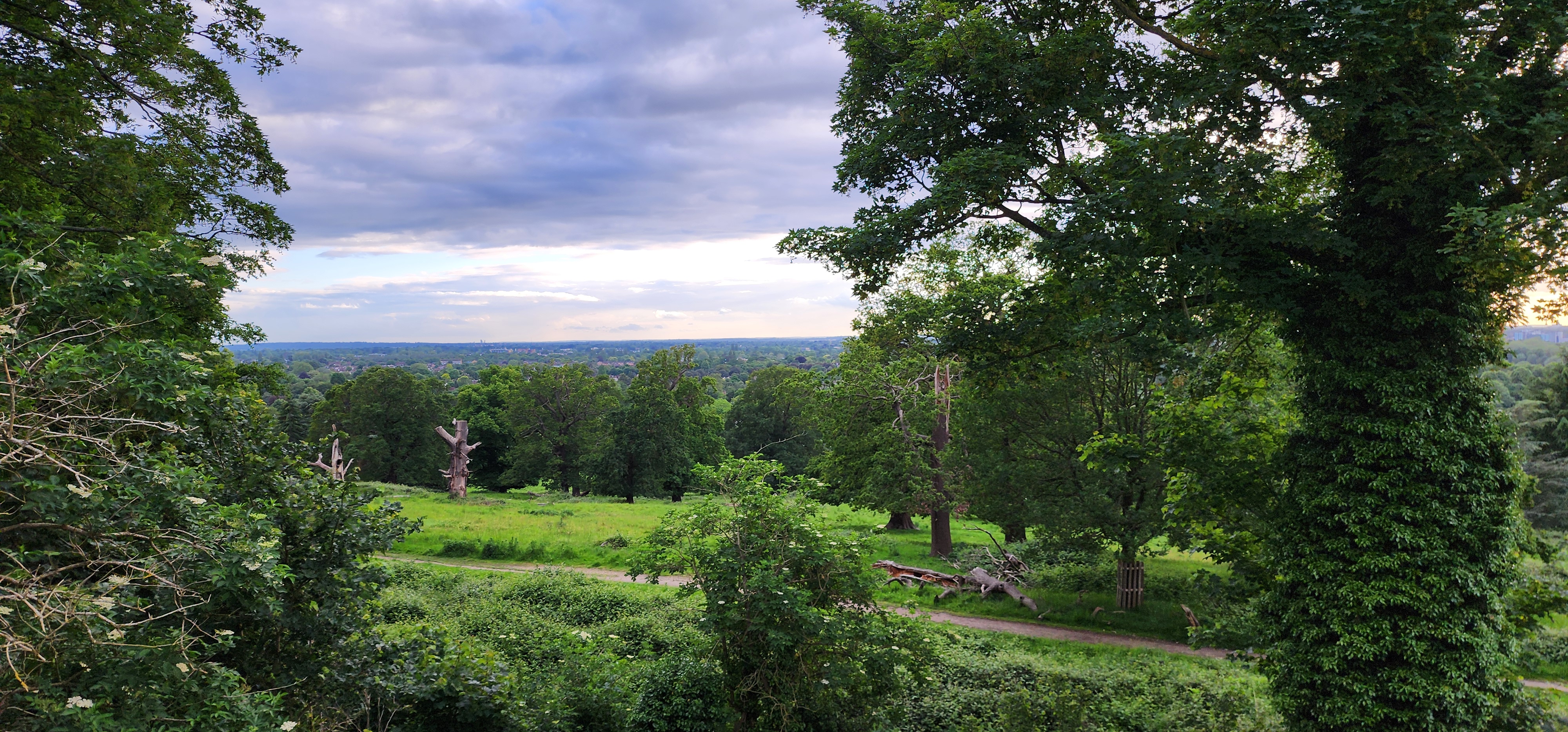 Richmond Park 156