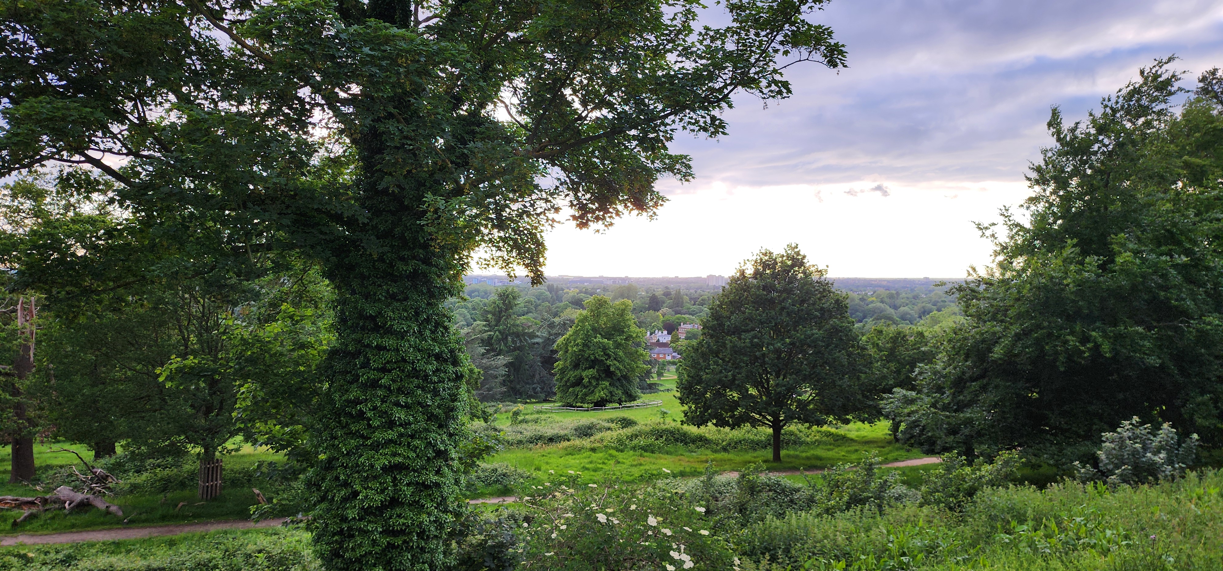 Richmond Park 157