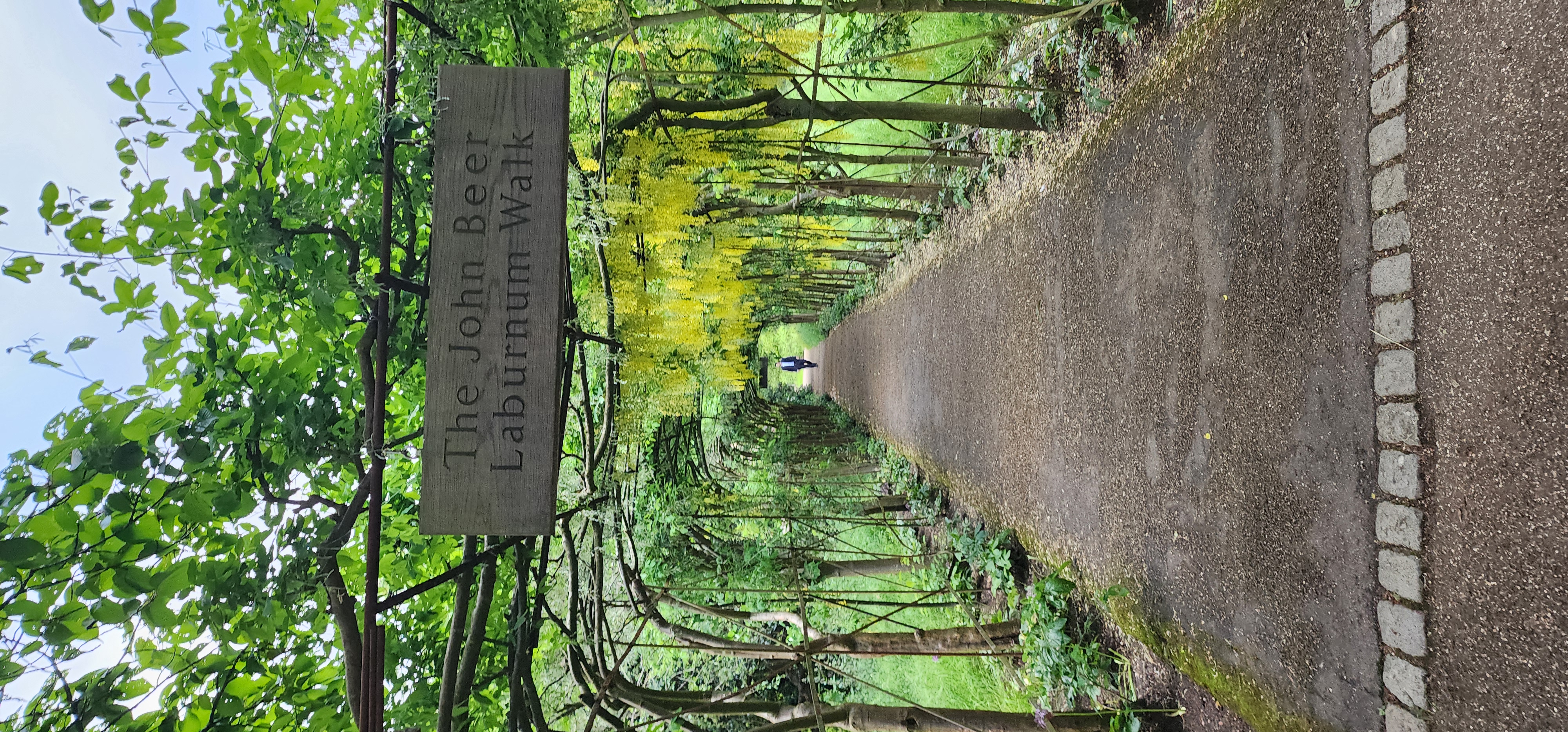 Richmond Park 172