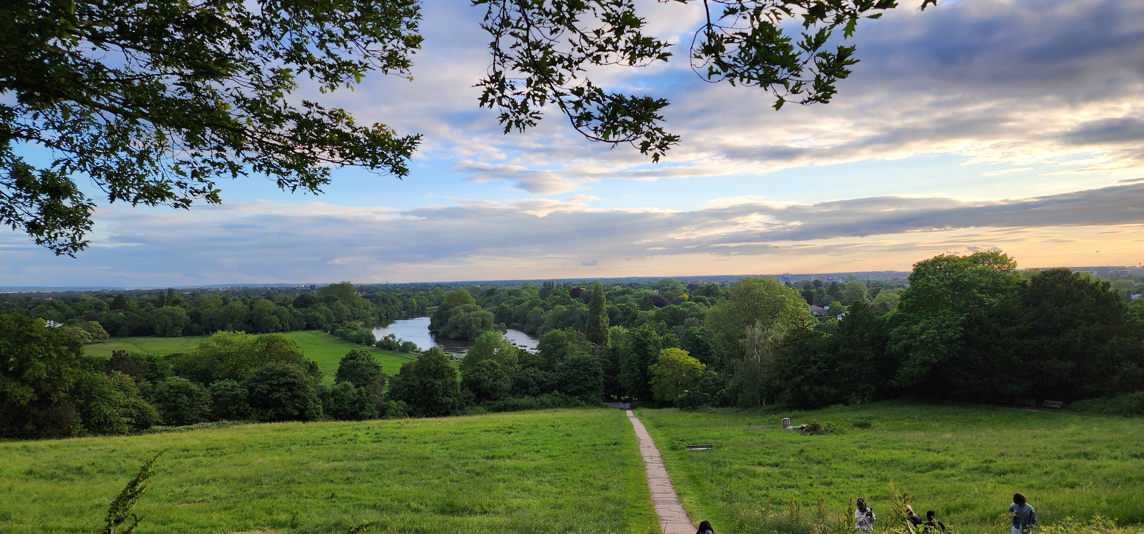 Richmond Park 185