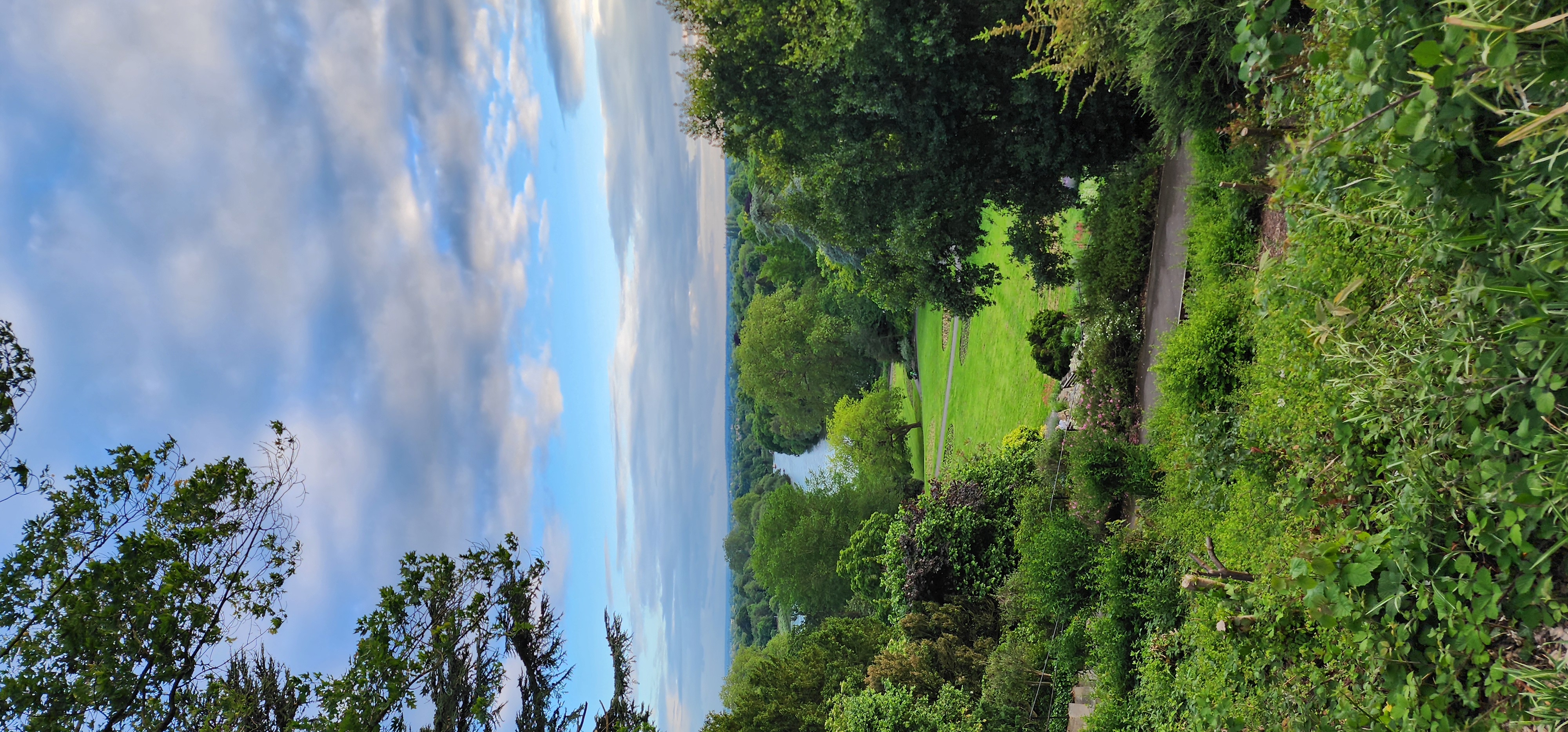 Richmond Park 191