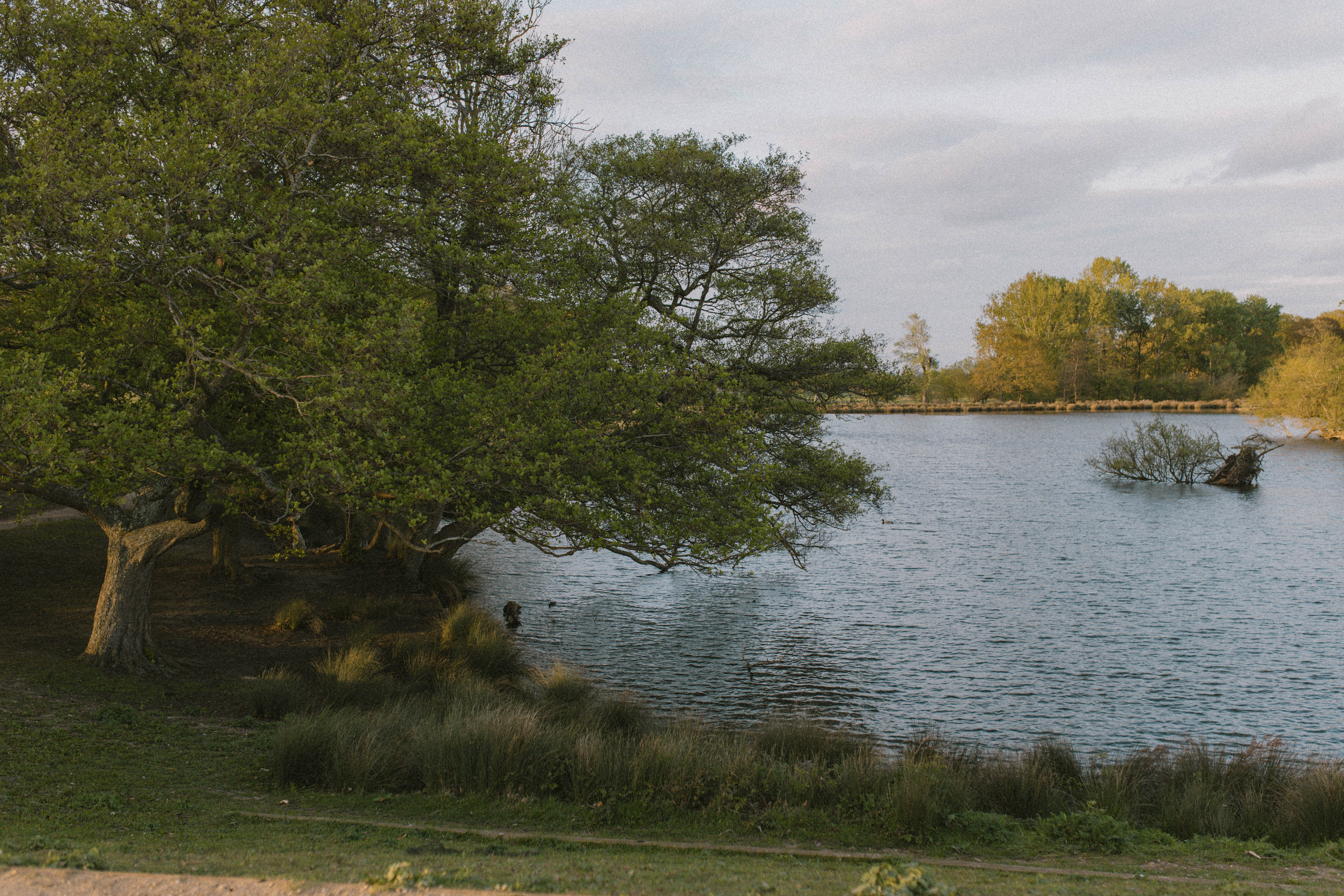 Richmond Park 2