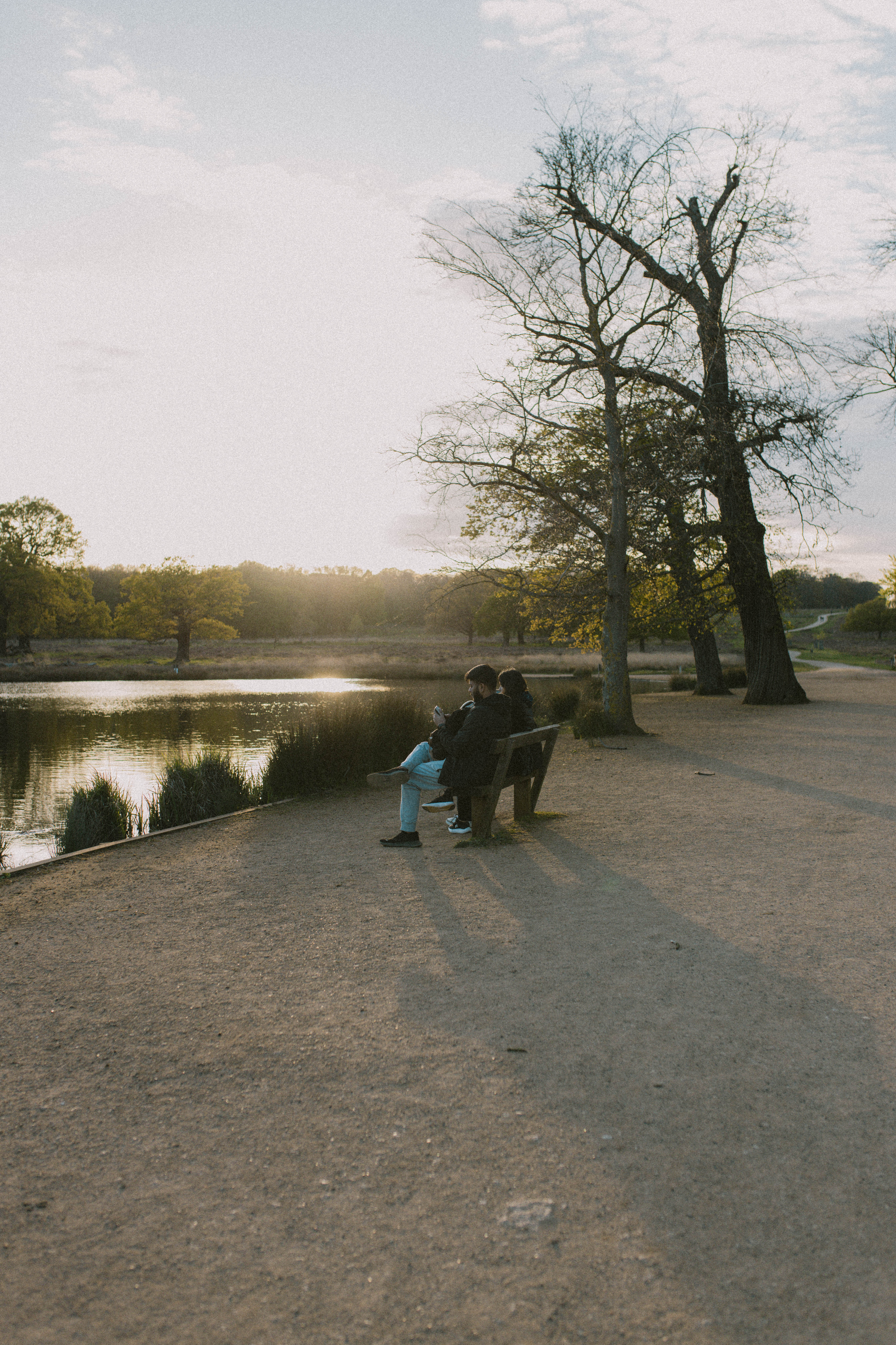 Richmond Park 4