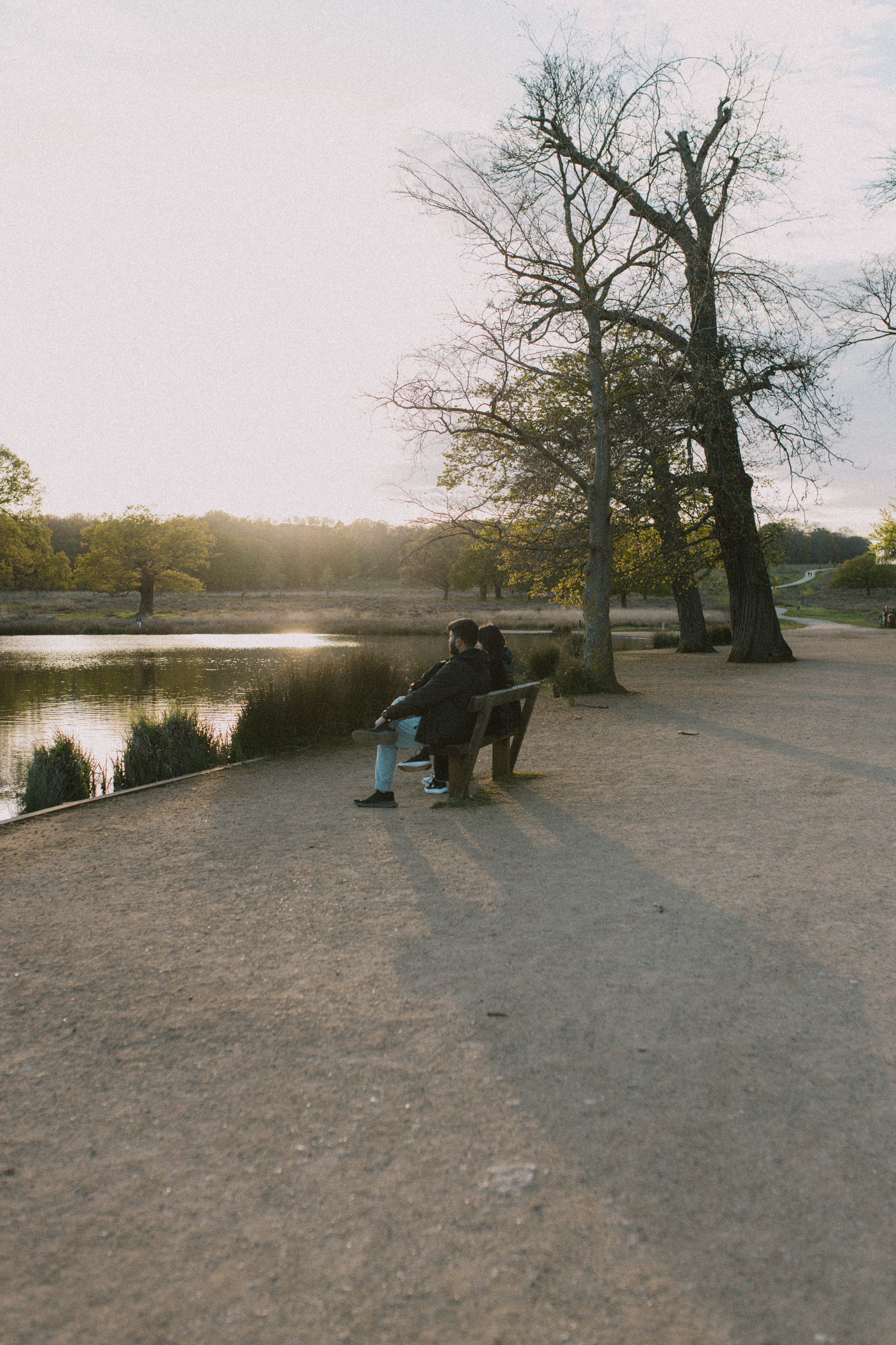 Richmond Park 5