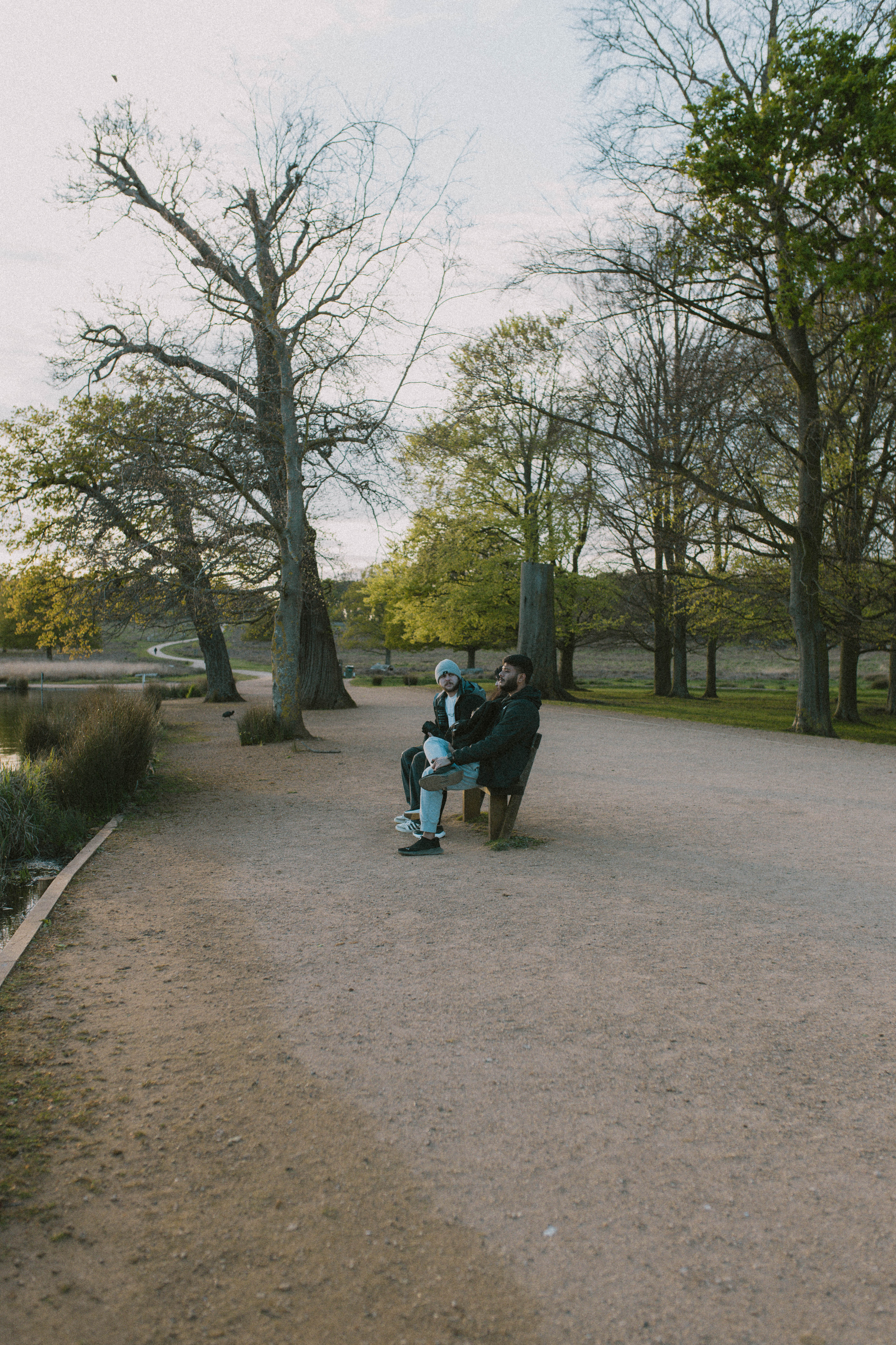 Richmond Park 6