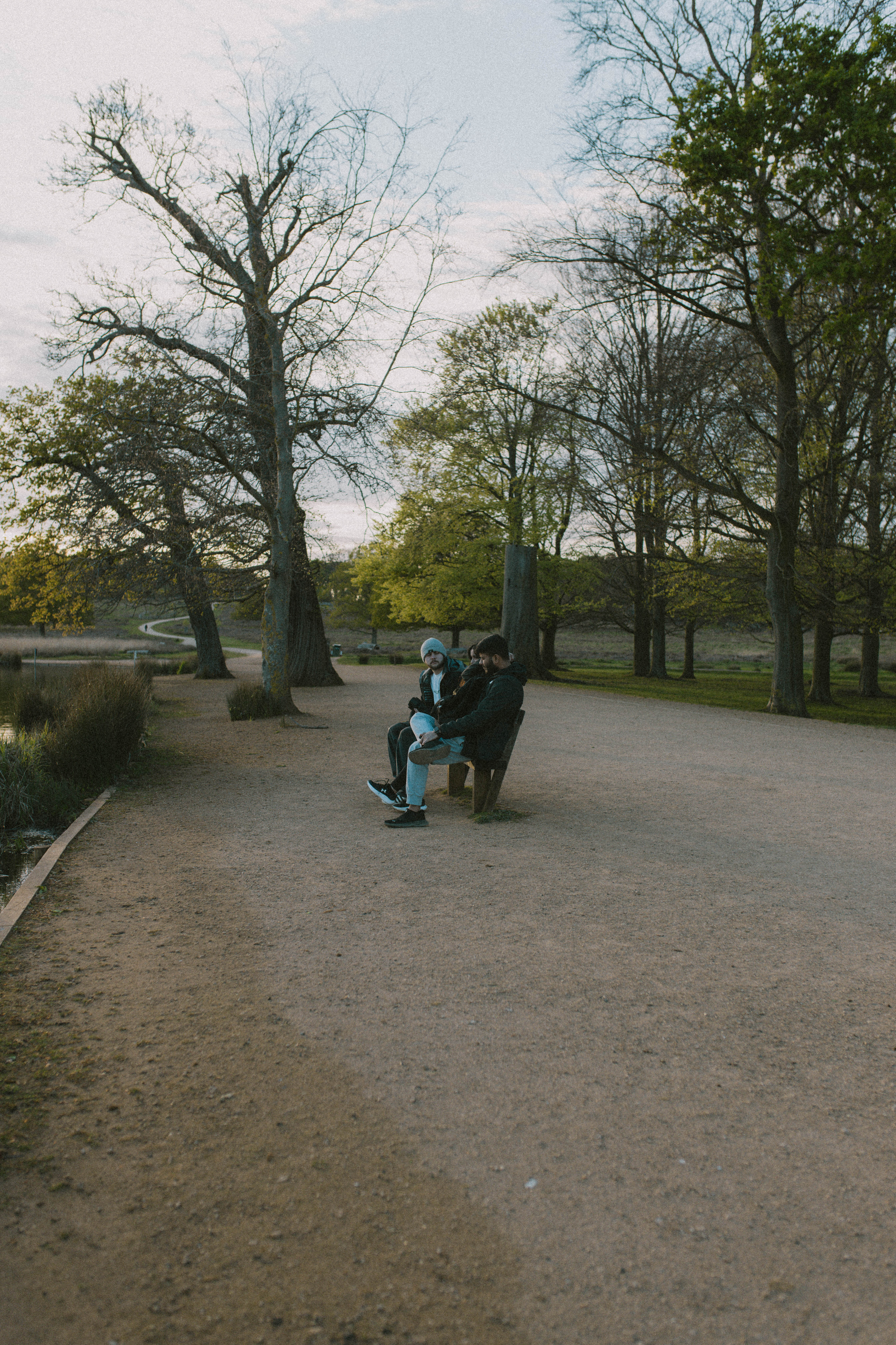 Richmond Park 7