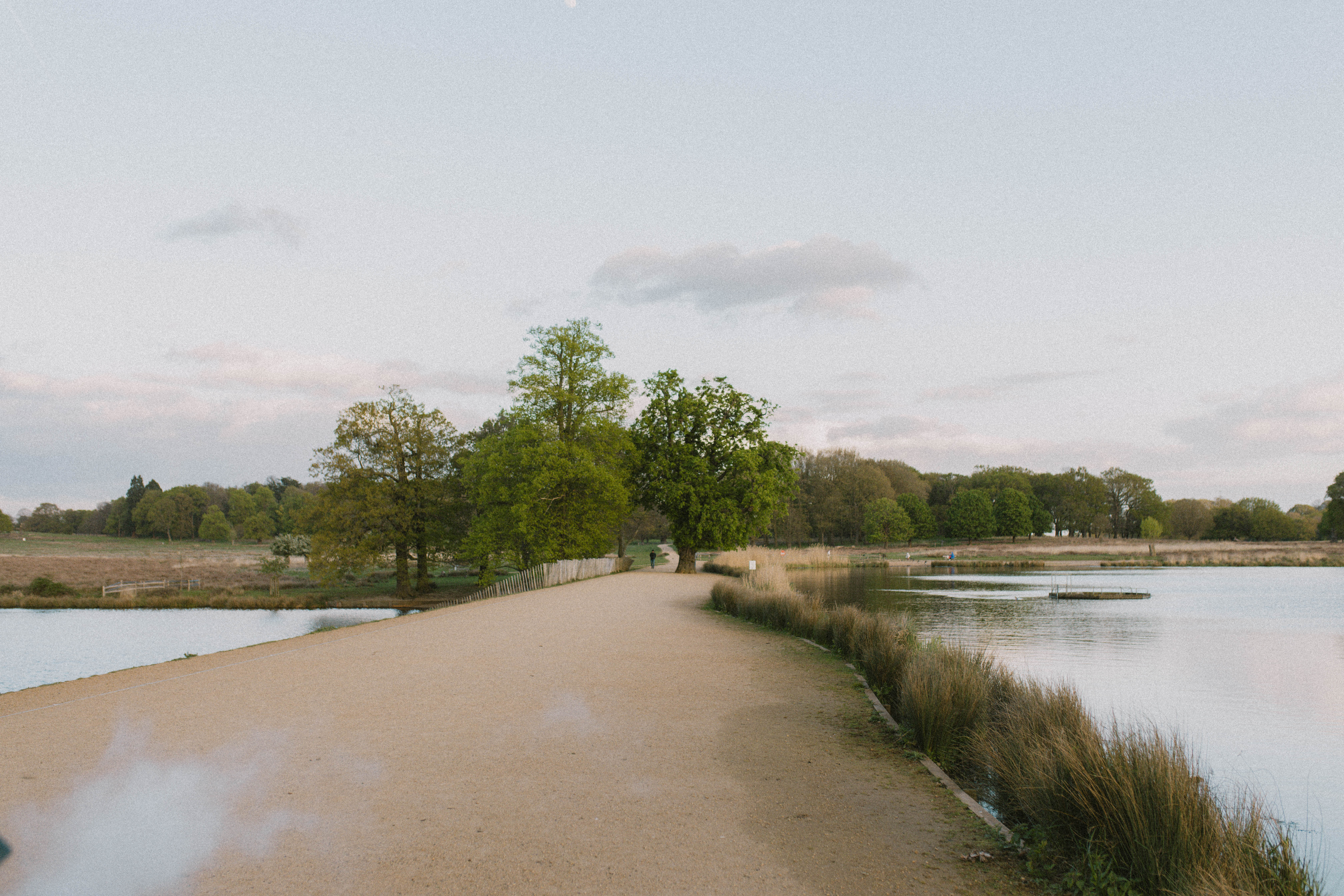 Richmond Park 8