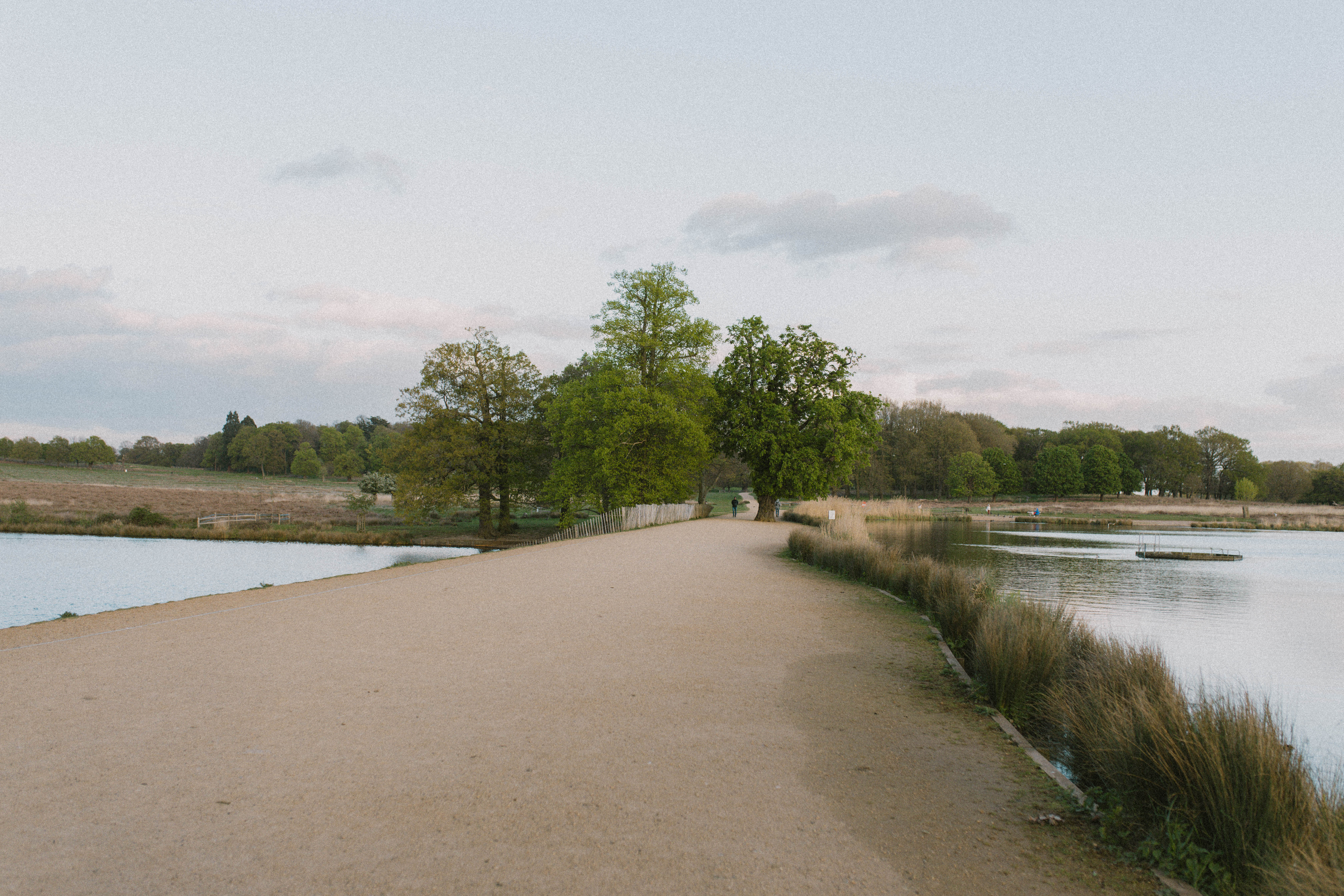 Richmond Park 9