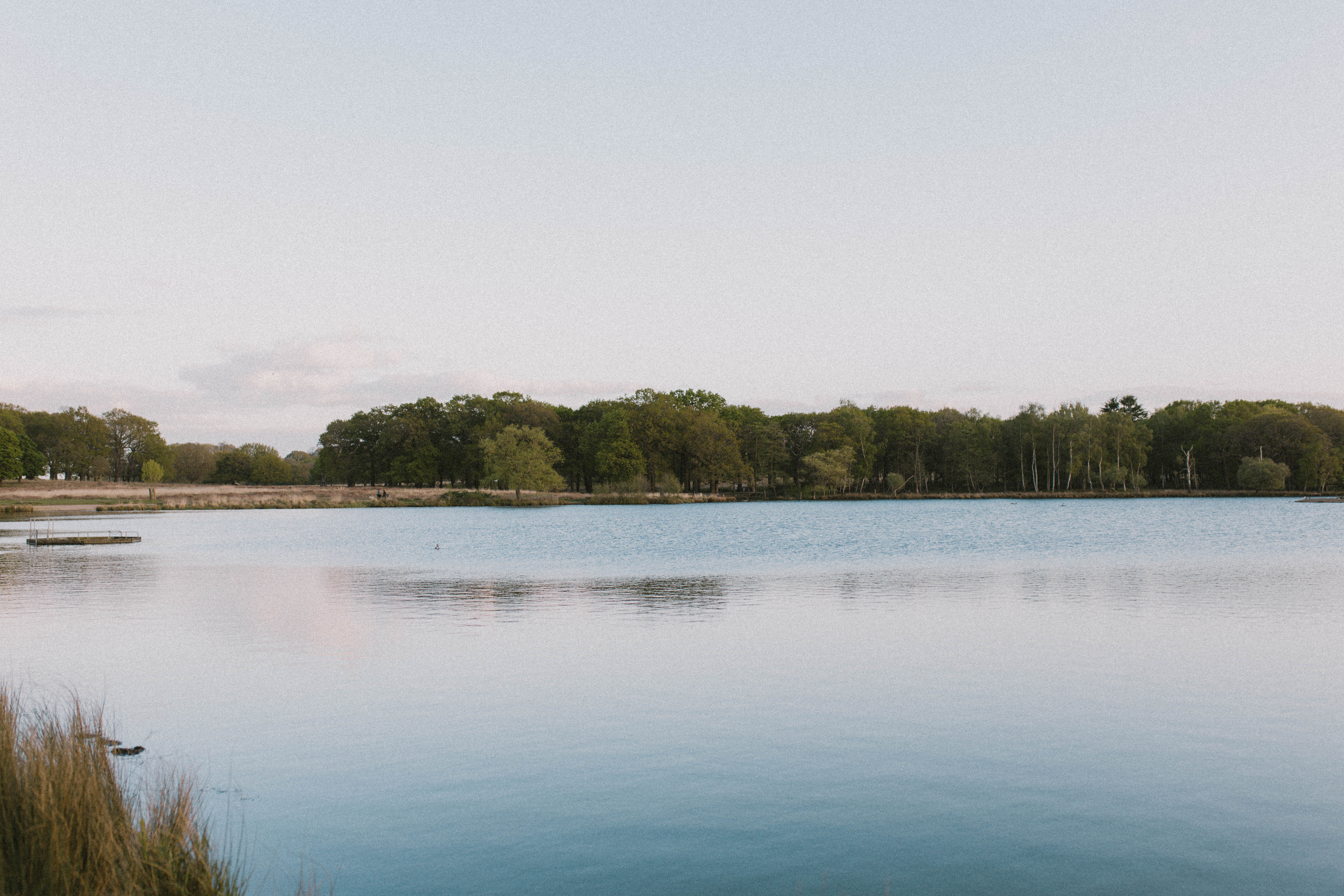 Richmond Park 11
