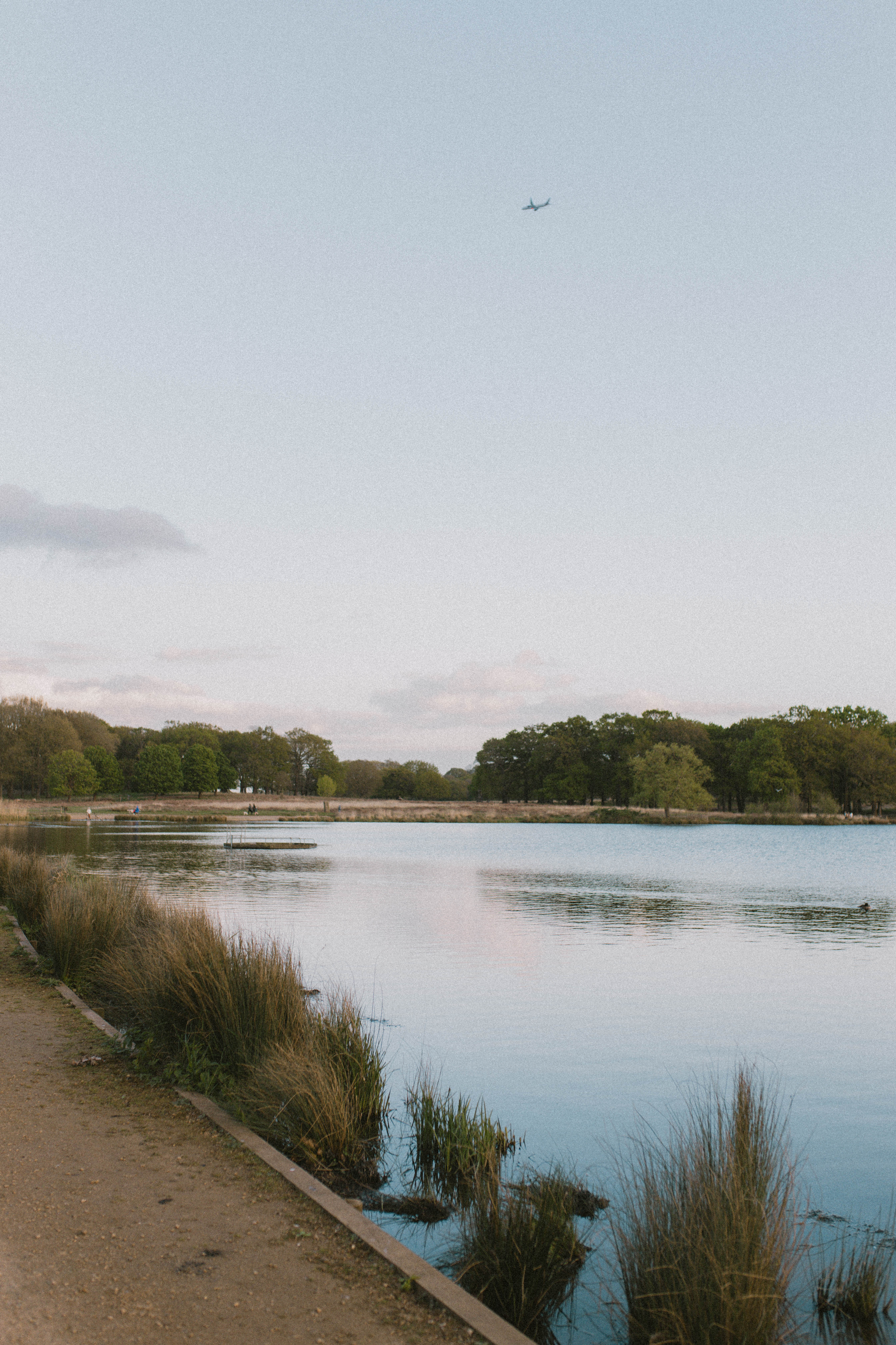 Richmond Park 12