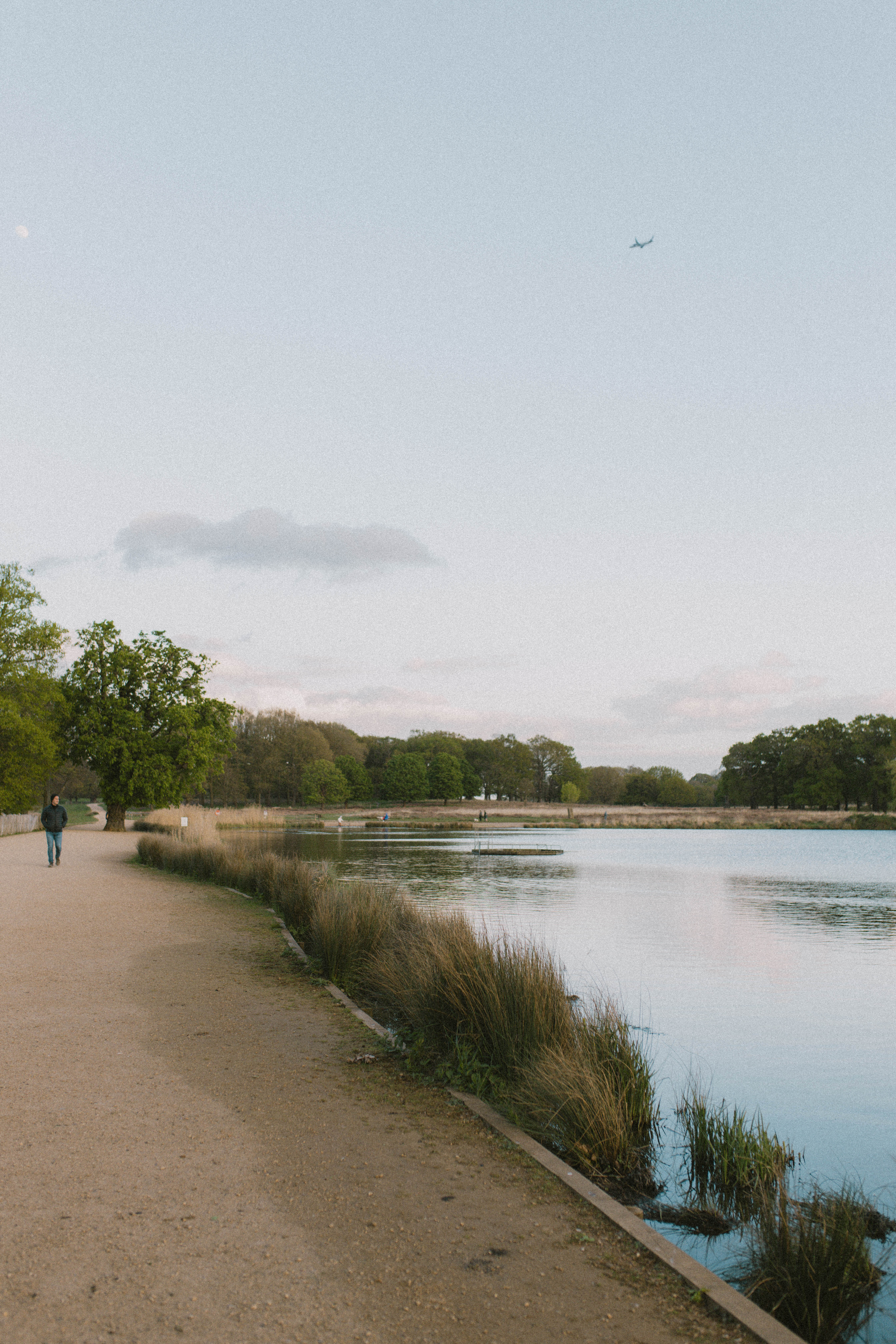 Richmond Park 13