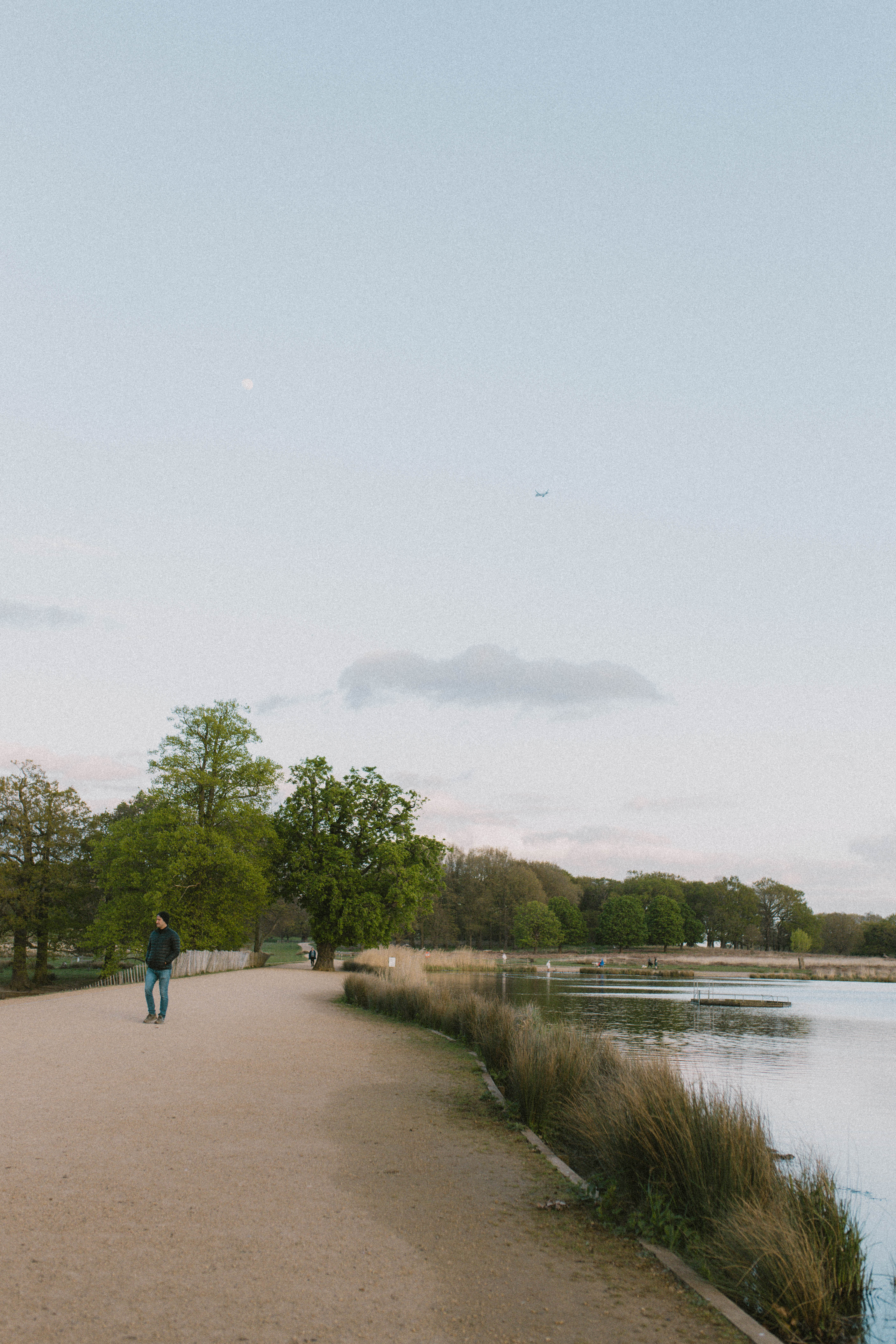 Richmond Park 14