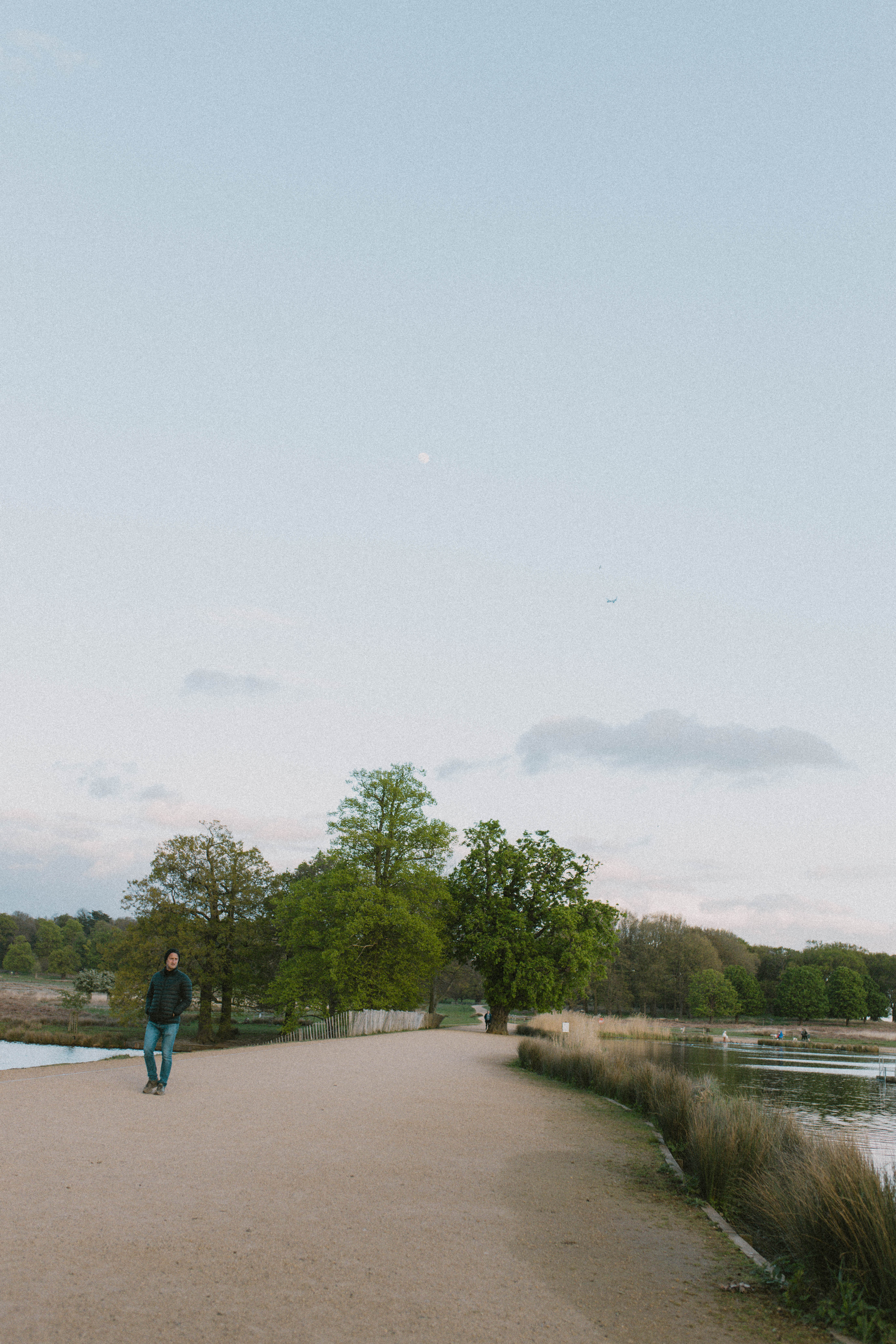 Richmond Park 15