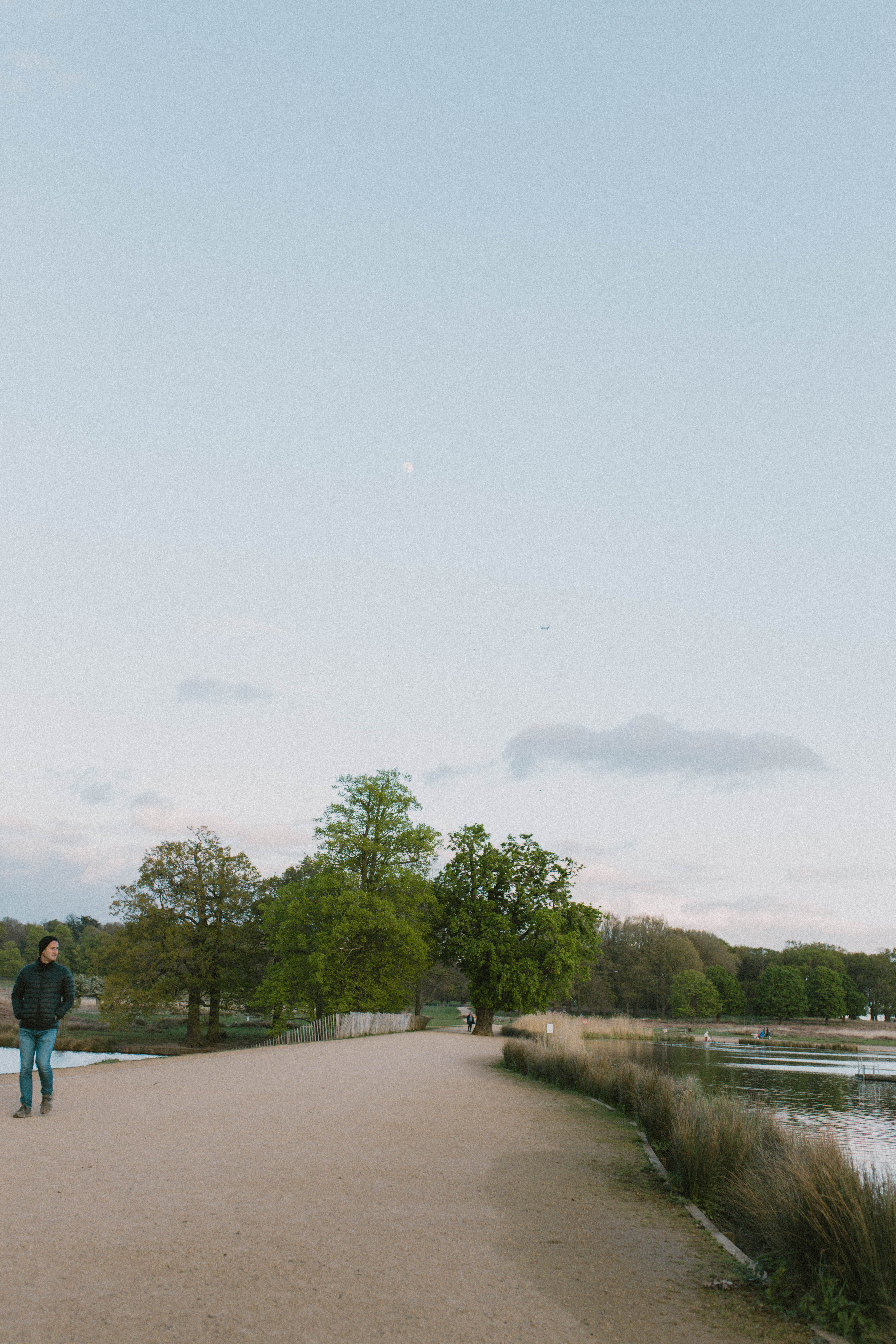 Richmond Park 16