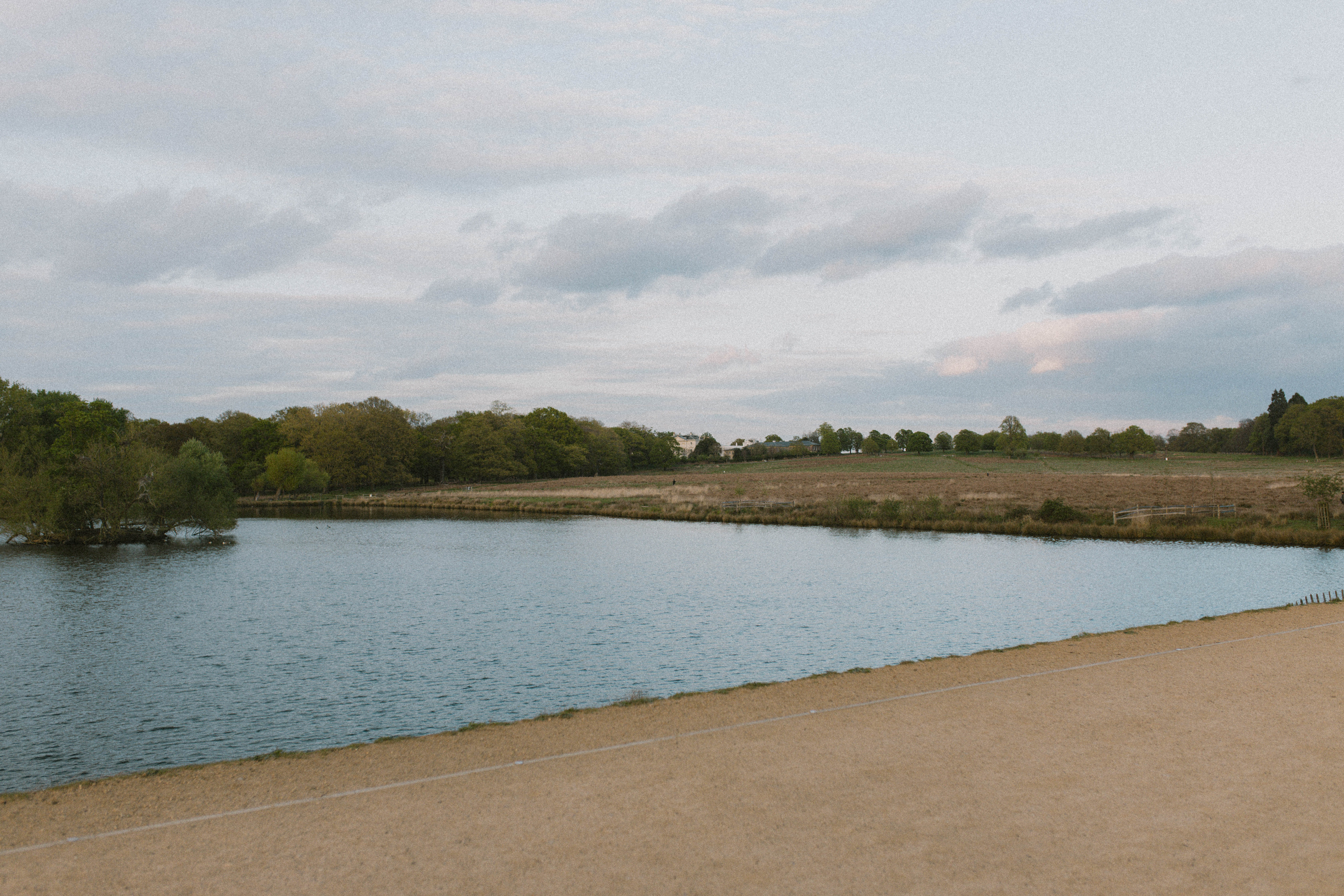 Richmond Park 17