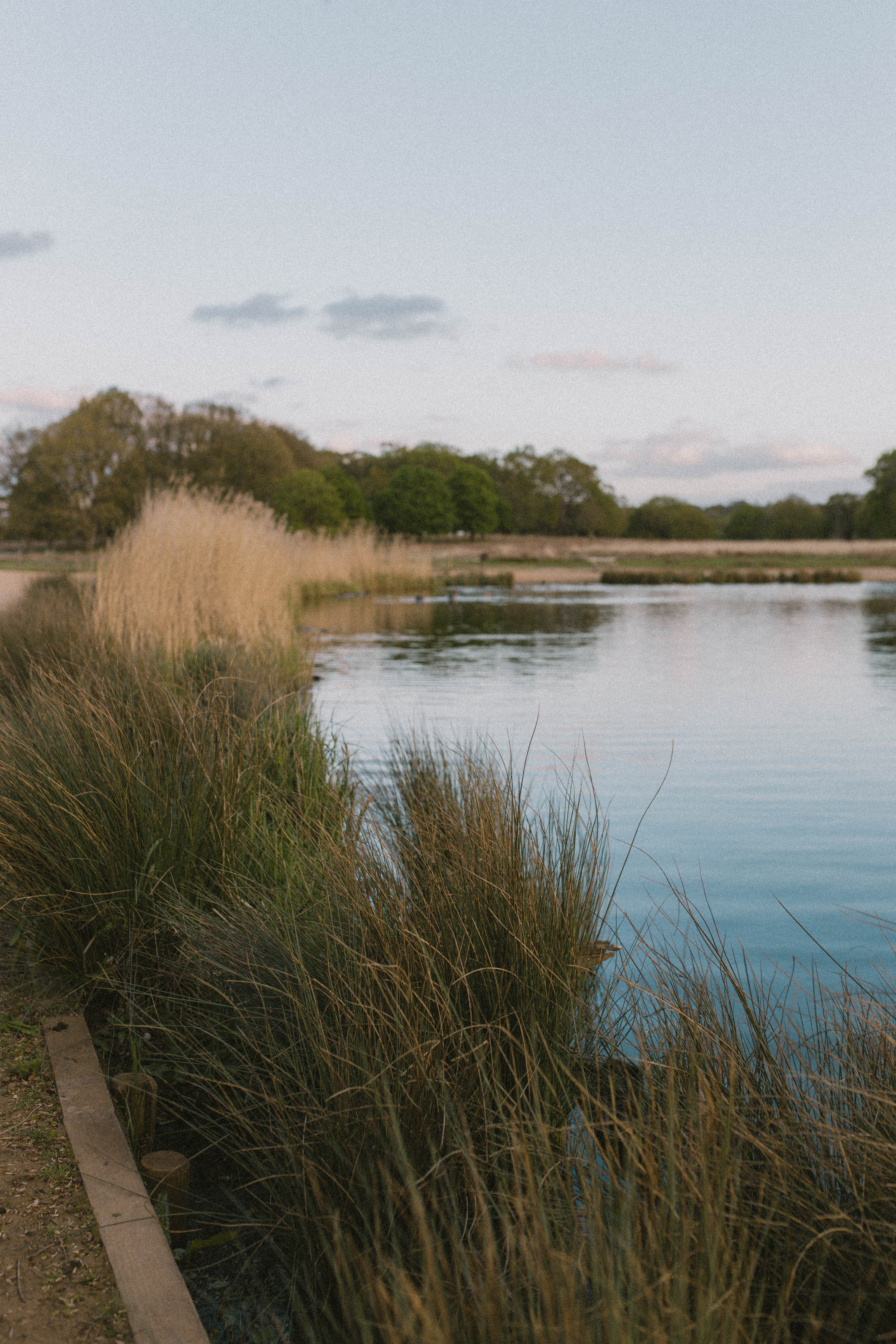 Richmond Park 18