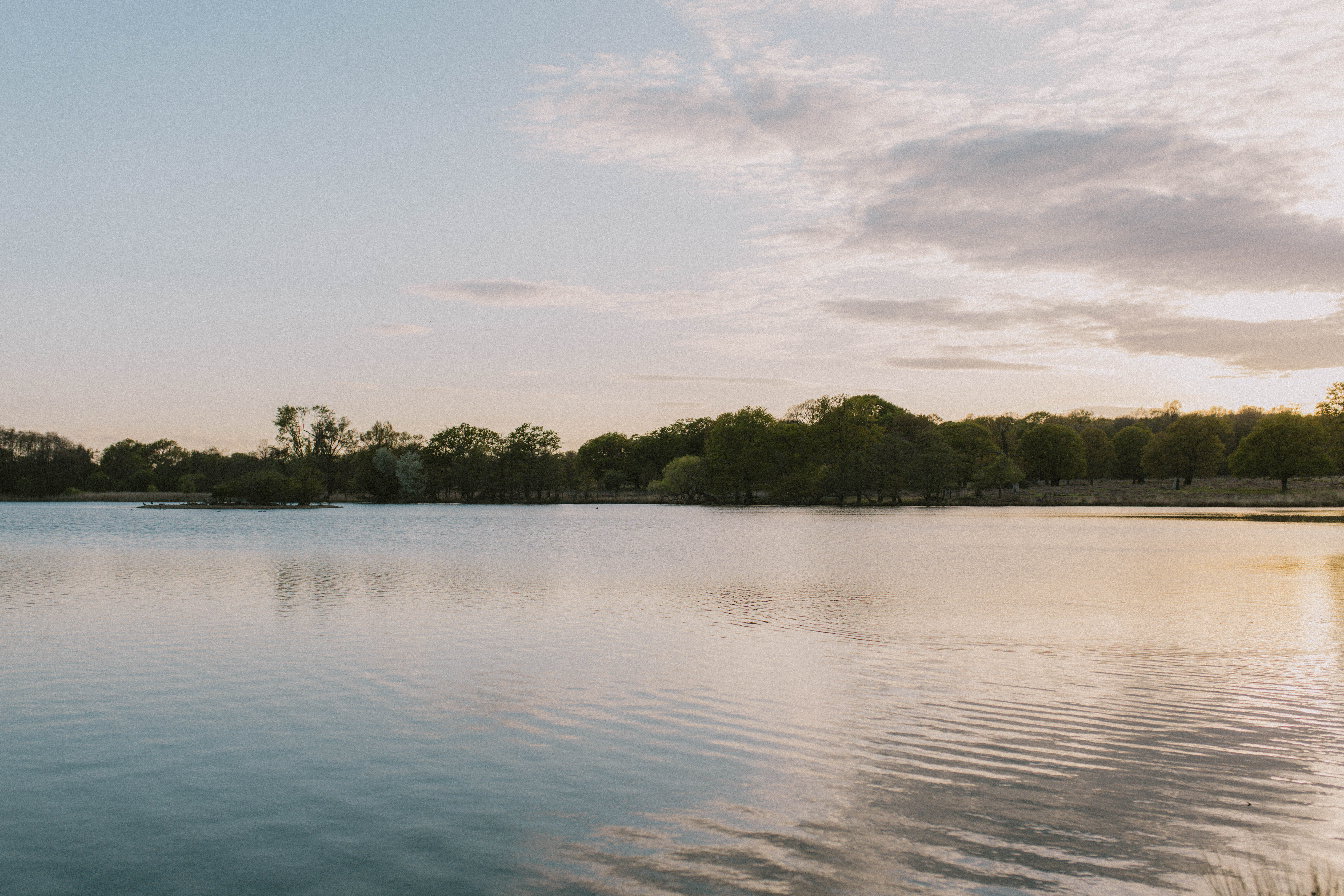 Richmond Park 22