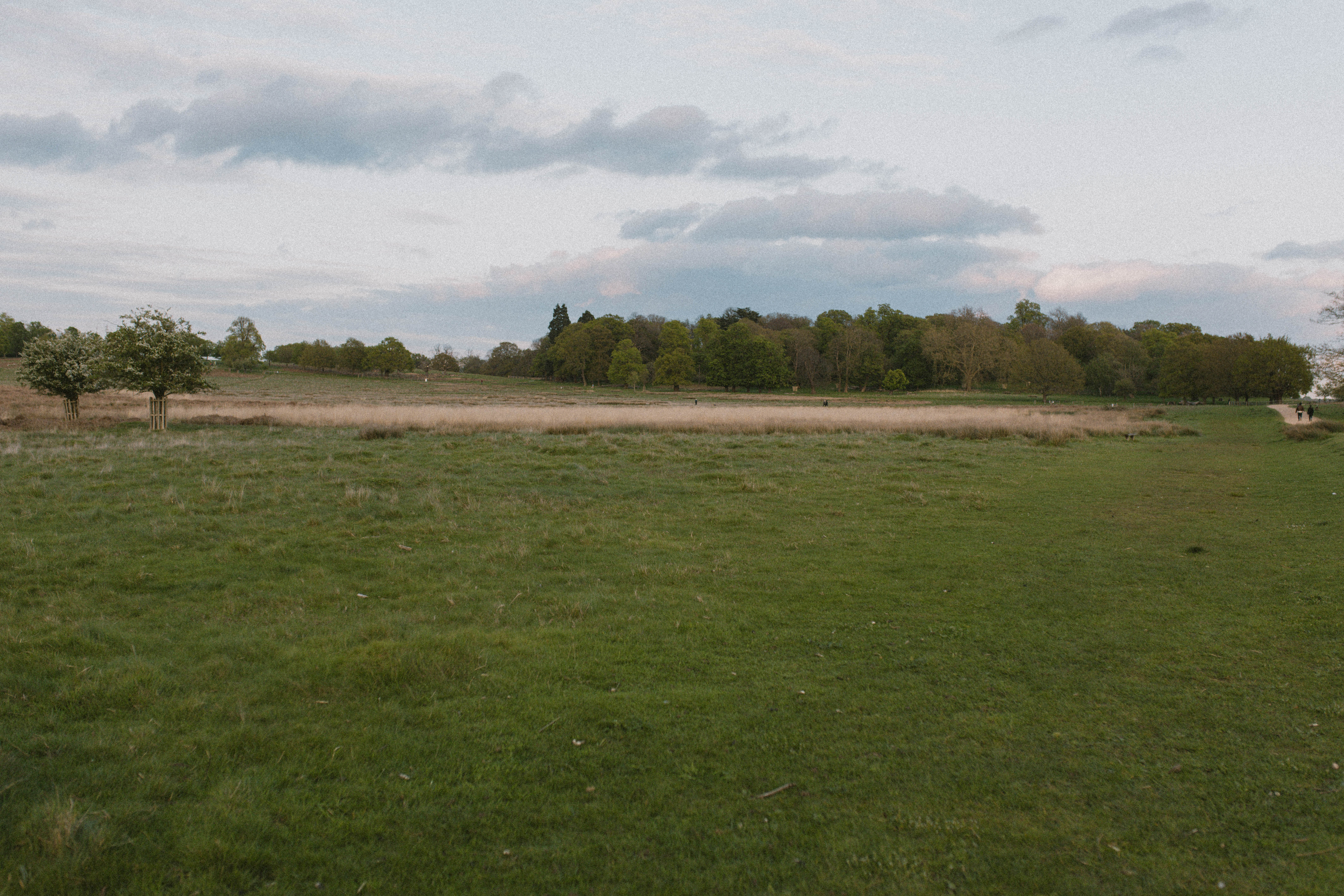 Richmond Park 23