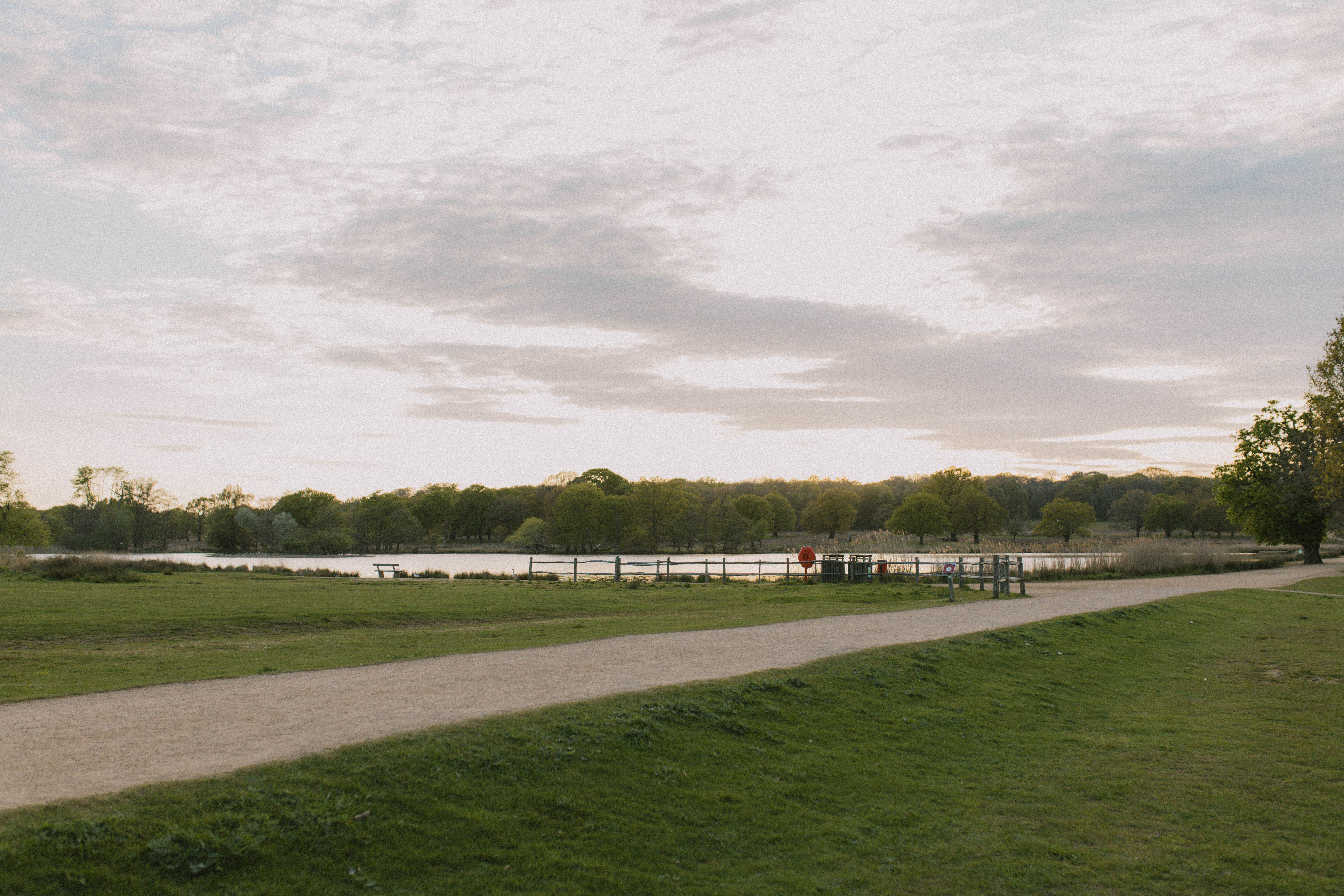 Richmond Park 24